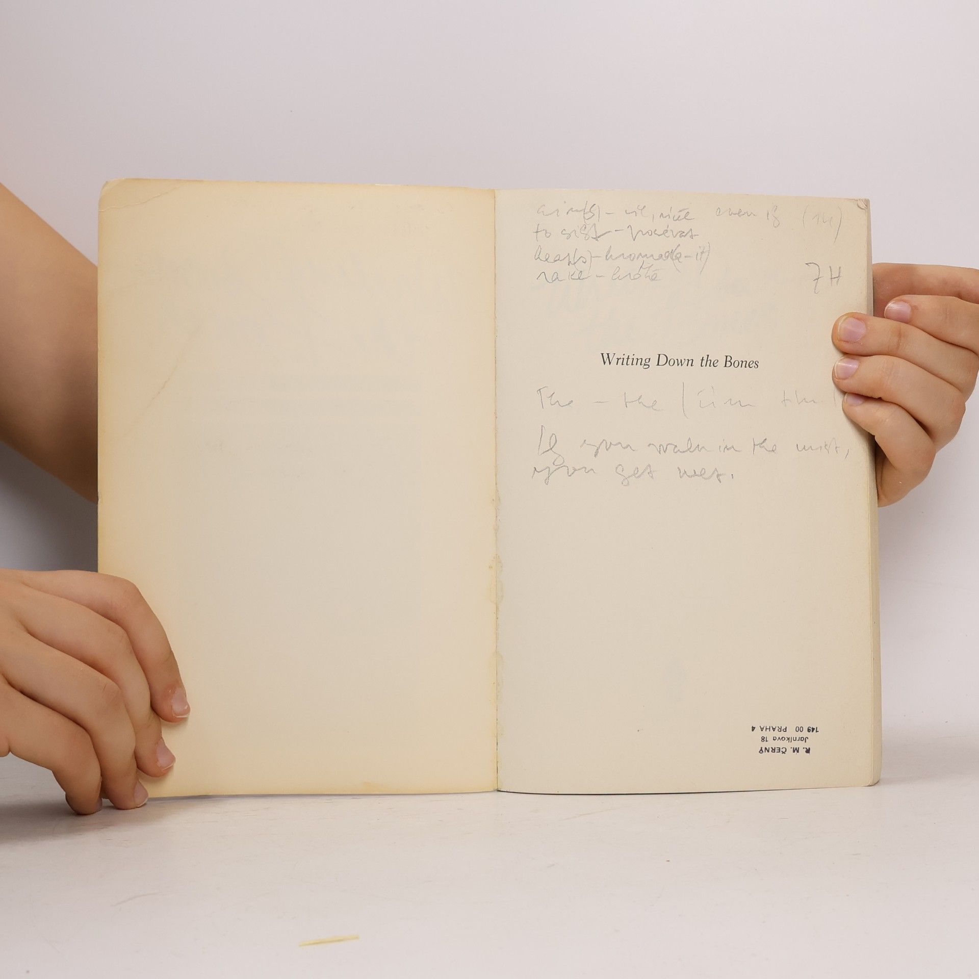 Natalie Goldberg Writing Down the Bones