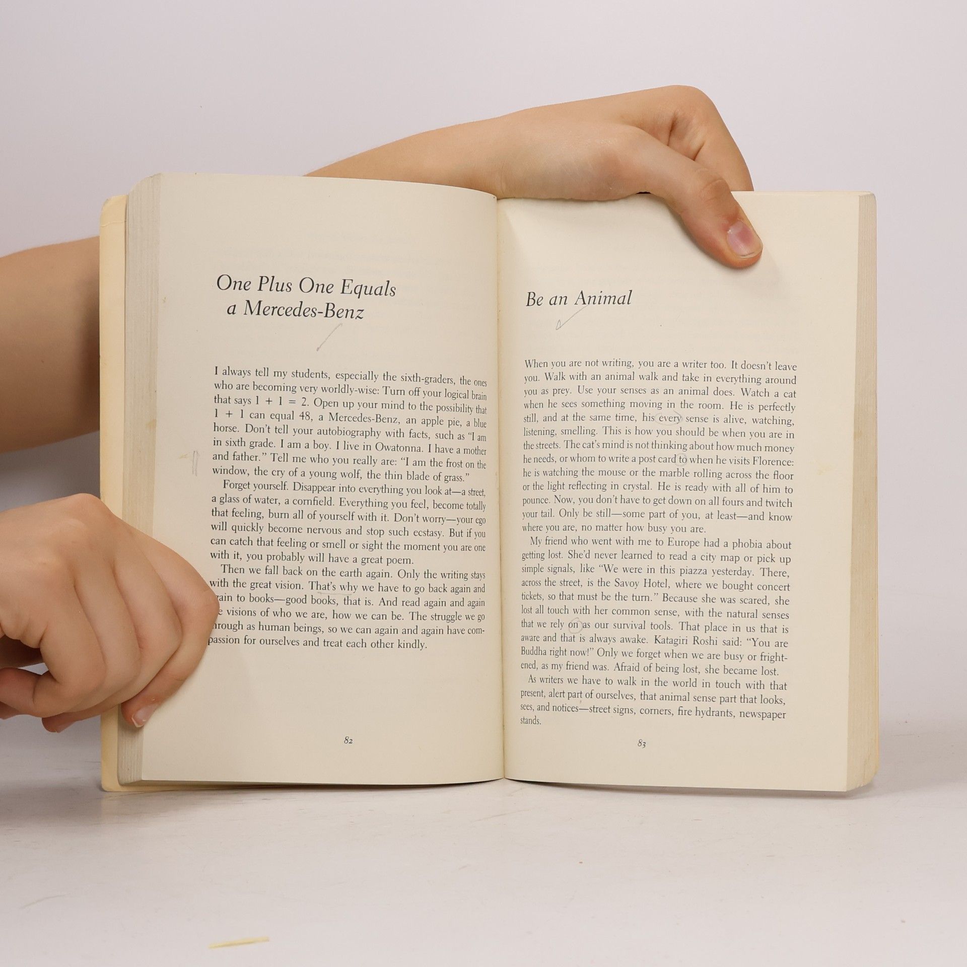Natalie Goldberg Writing Down the Bones