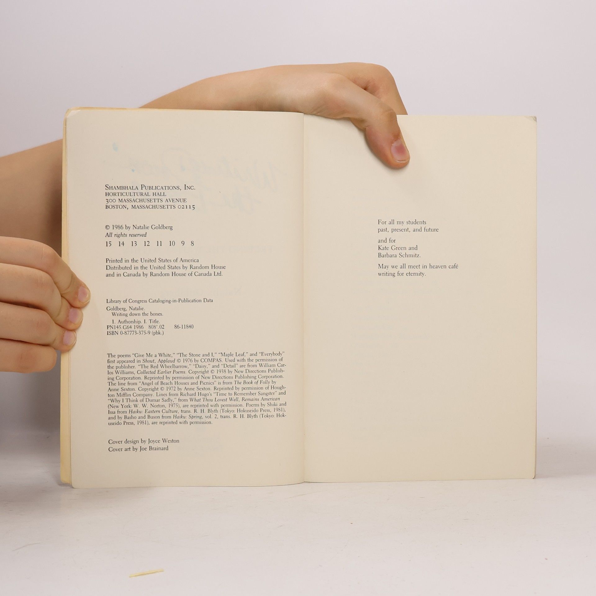 Natalie Goldberg Writing Down the Bones