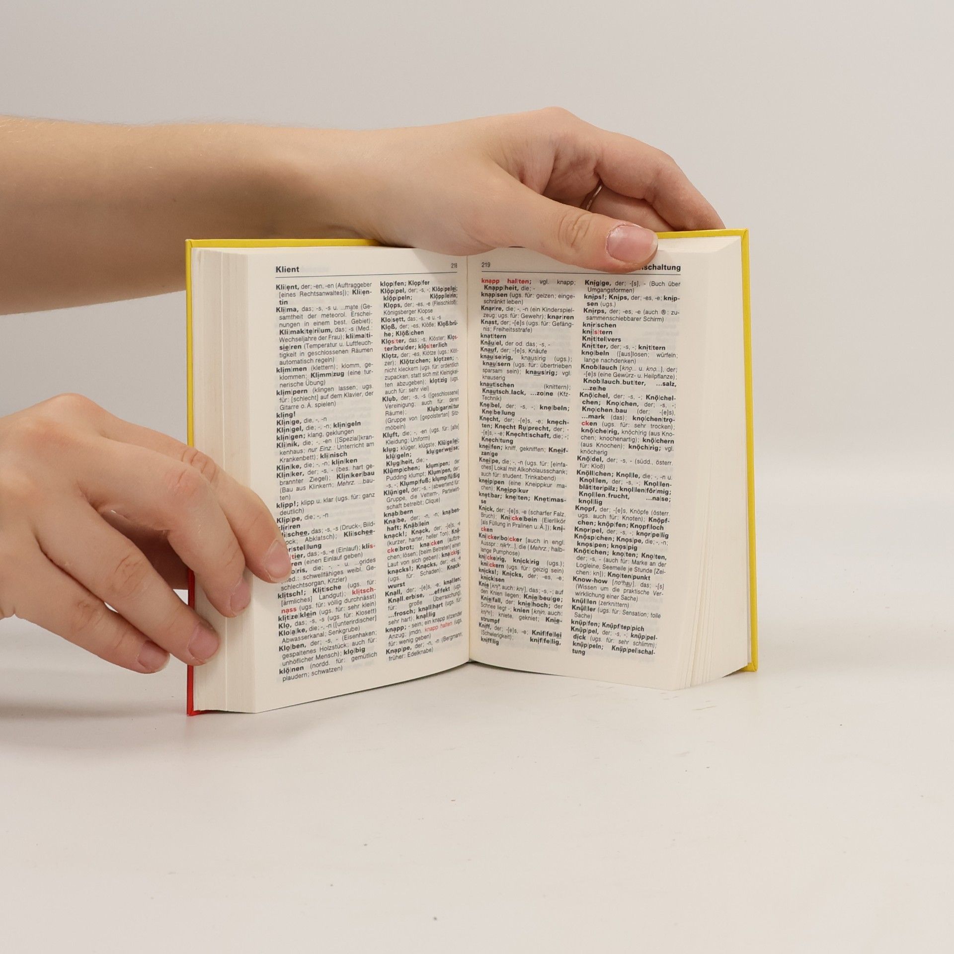 Ursula Kraif Deutsches Wörterbuch