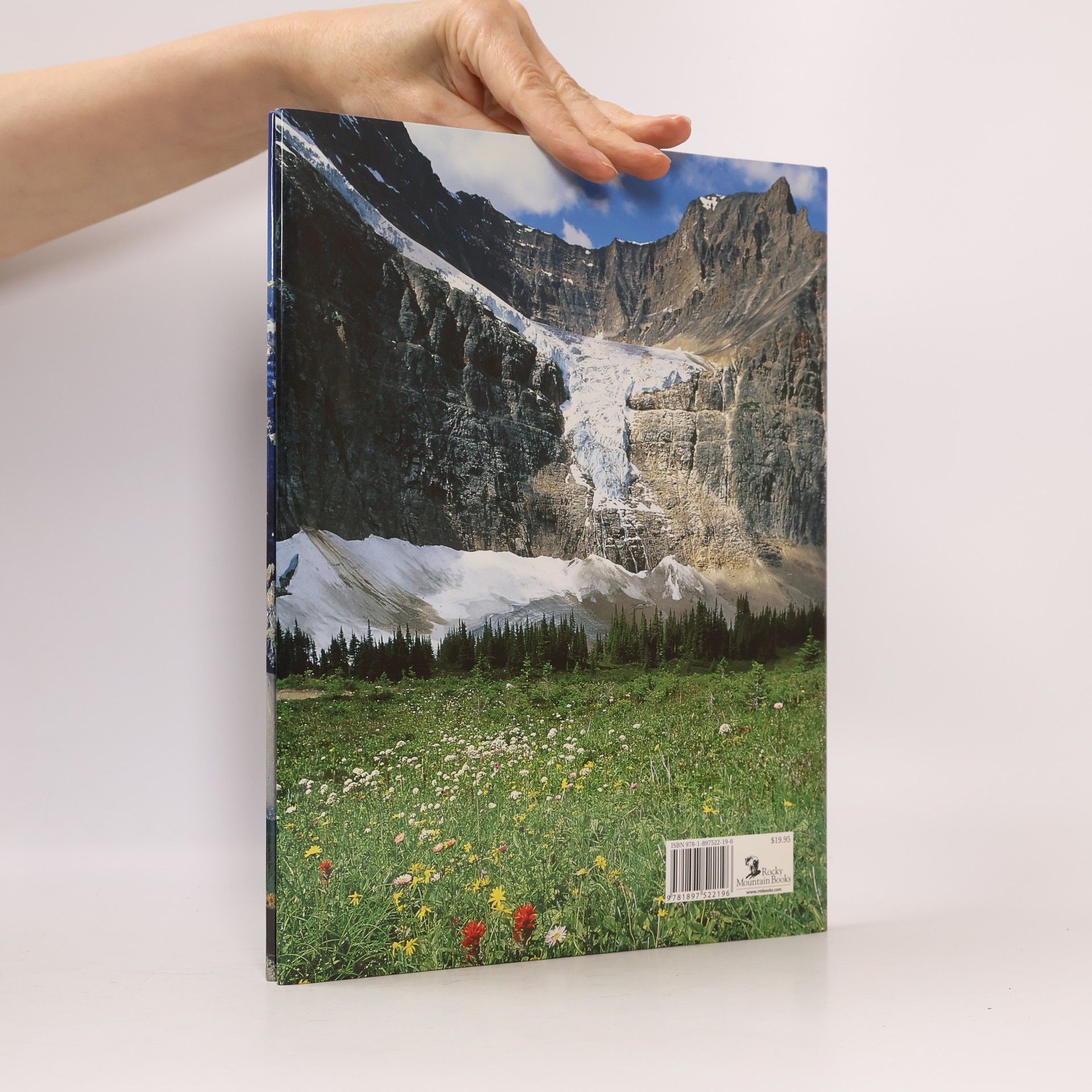 Elizabeth Wilson Portrait of the Canadian Rockies
