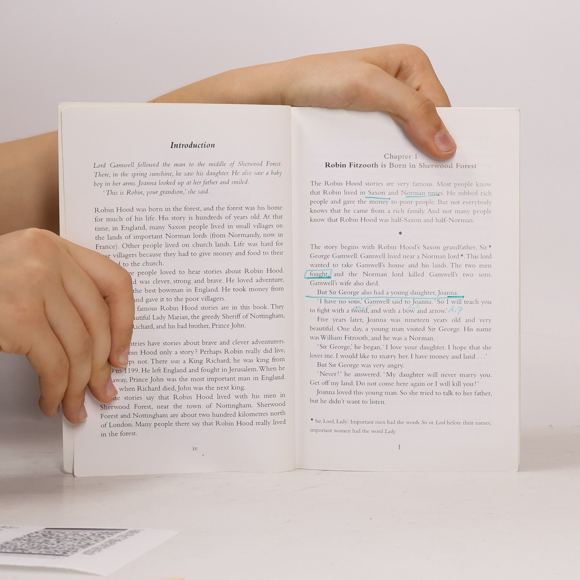 Autores varios Robin Hood