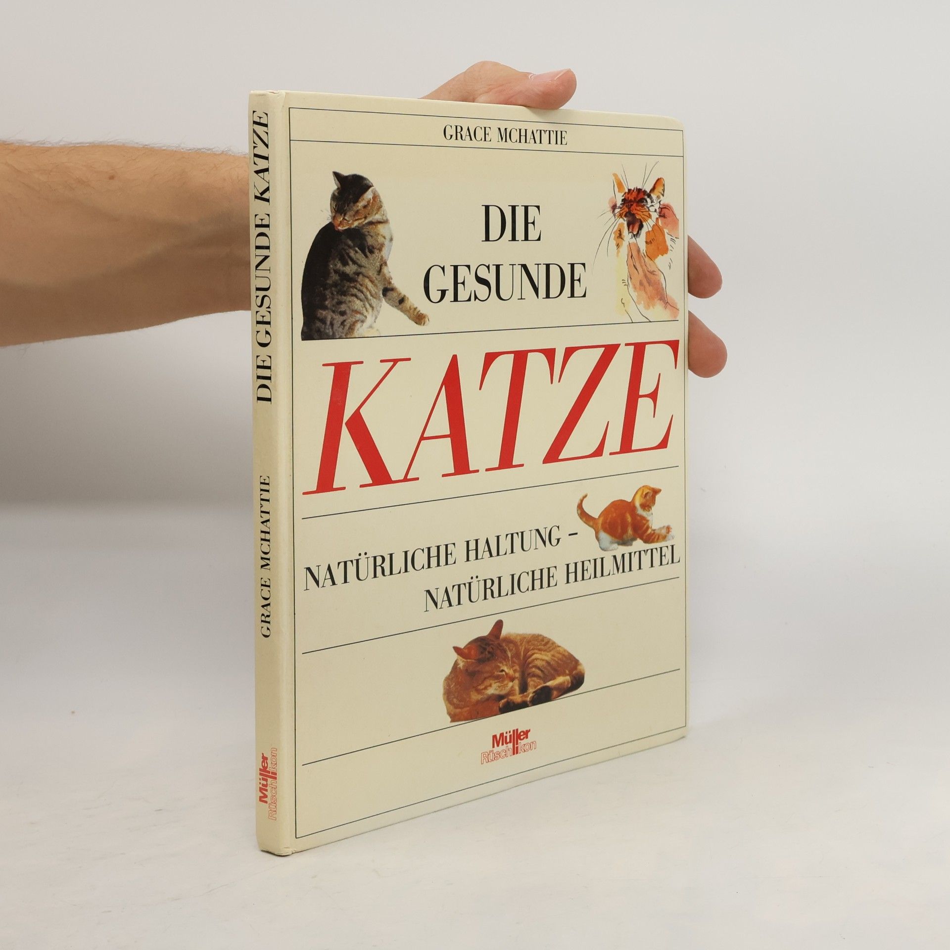 Kolektiv autorů Die gesunde Katze