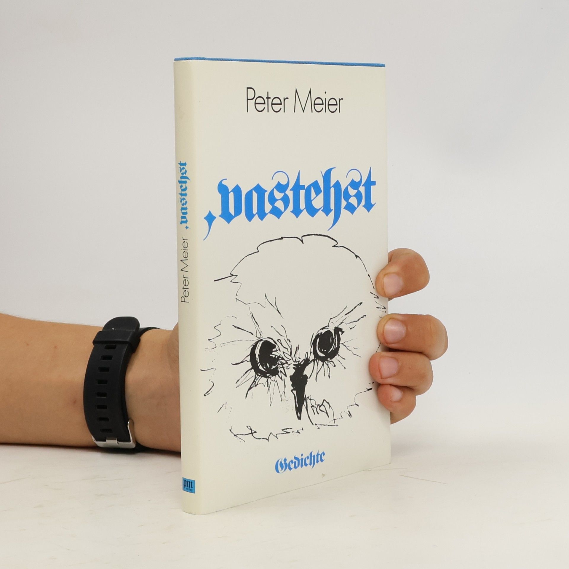 Richard Meier Vastehst