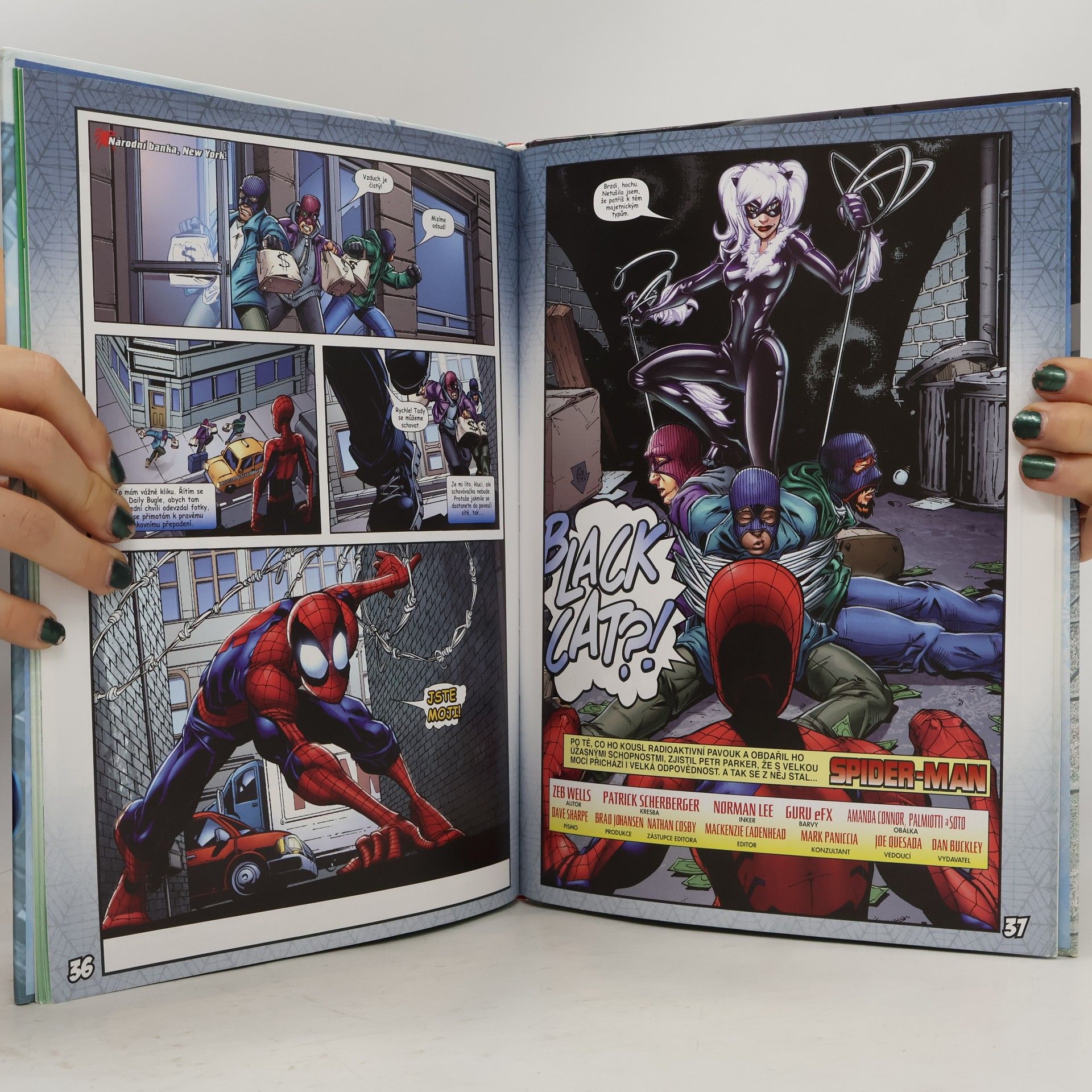 Collectif d'auteurs Spider-Man: Knížka na rok 2010