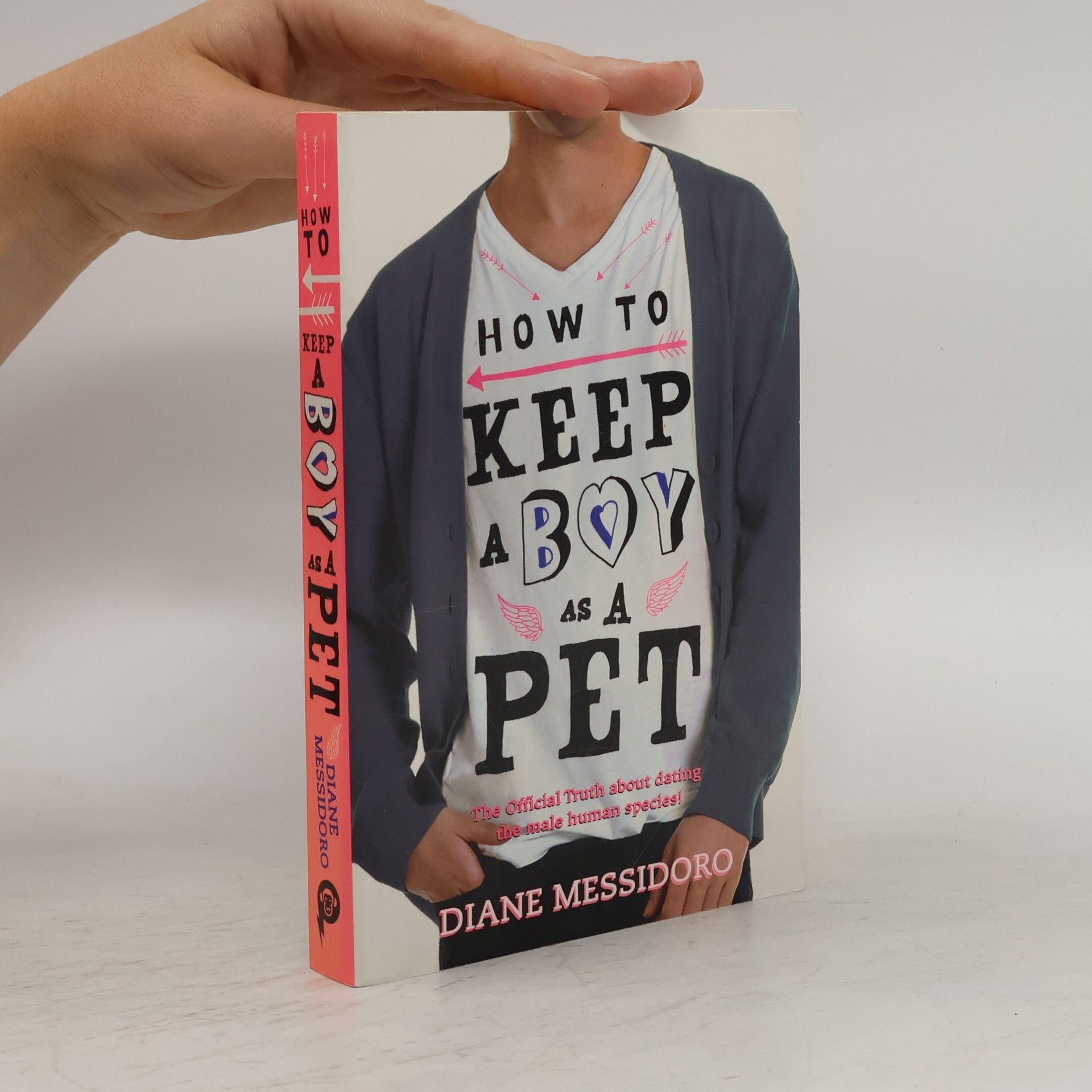 Diane Messidoro How to Keep a Boy as a Pet