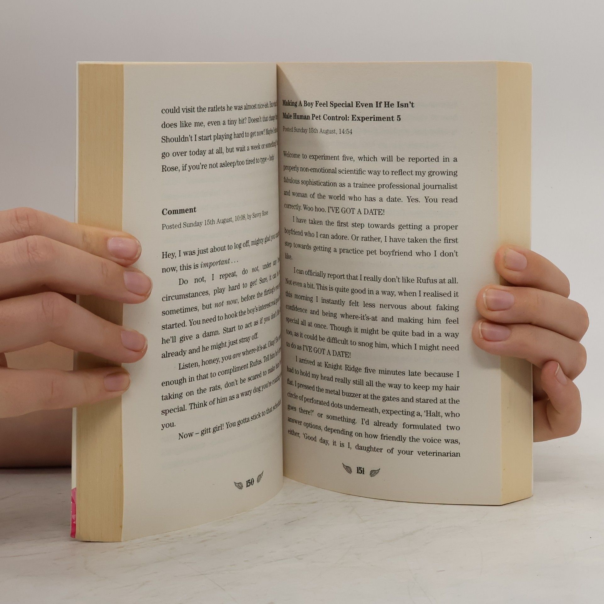 Diane Messidoro How to Keep a Boy as a Pet