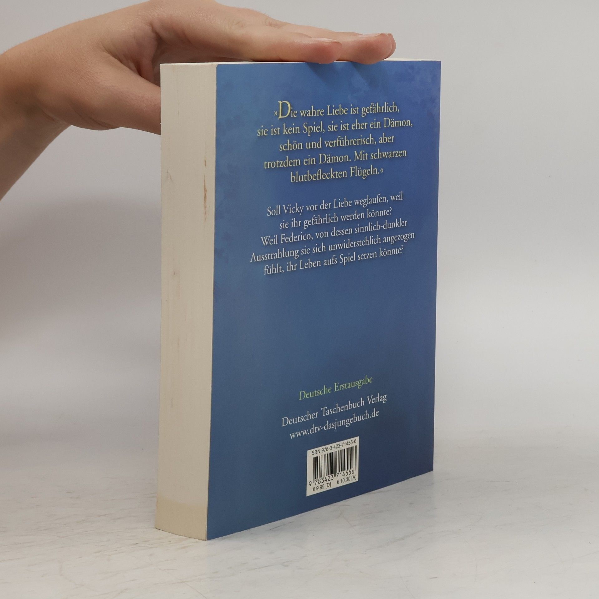 Dorotea De Spirito Die Liebe ist ein Dämon. Roman