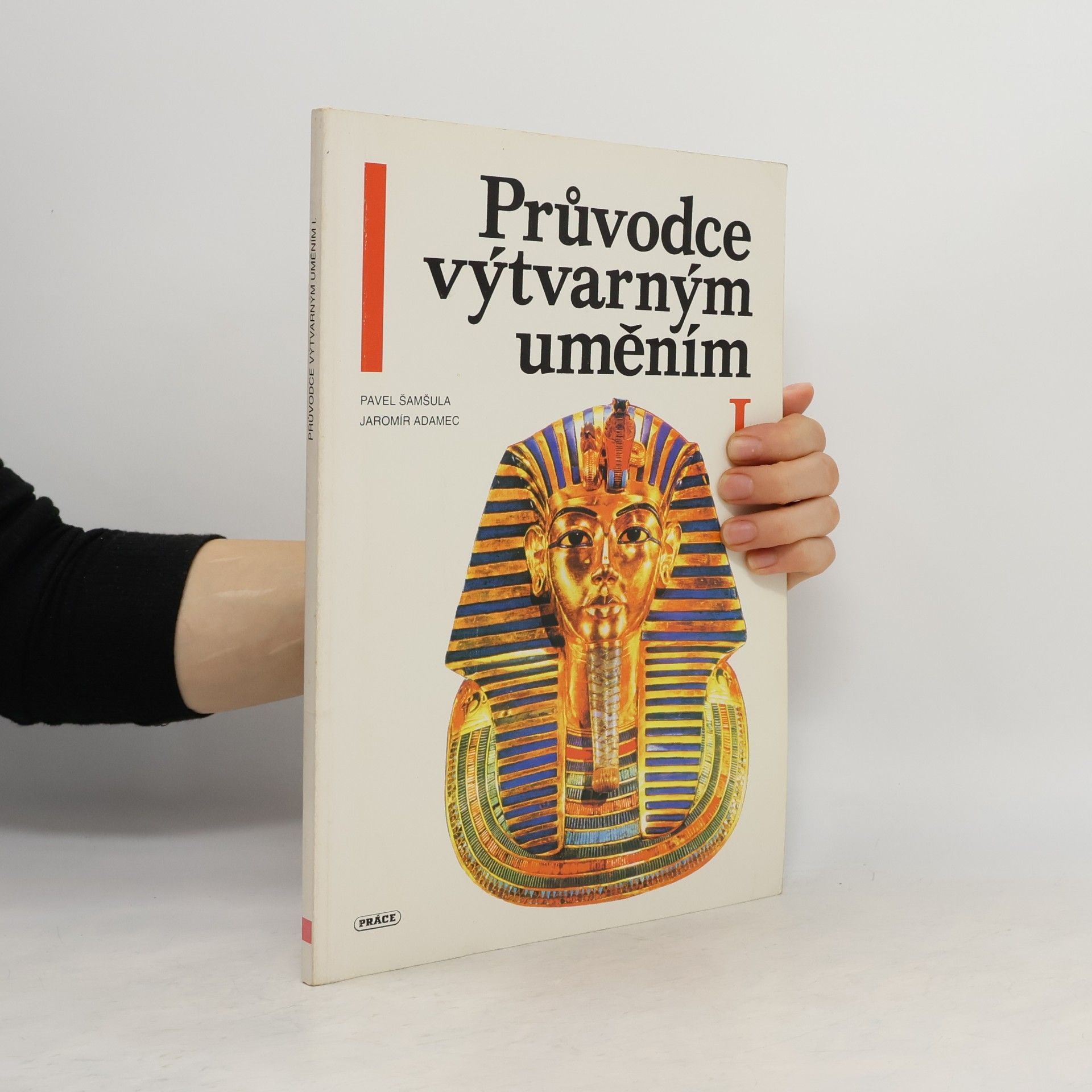Pavel Šamšula Průvodce výtvarným uměním I
