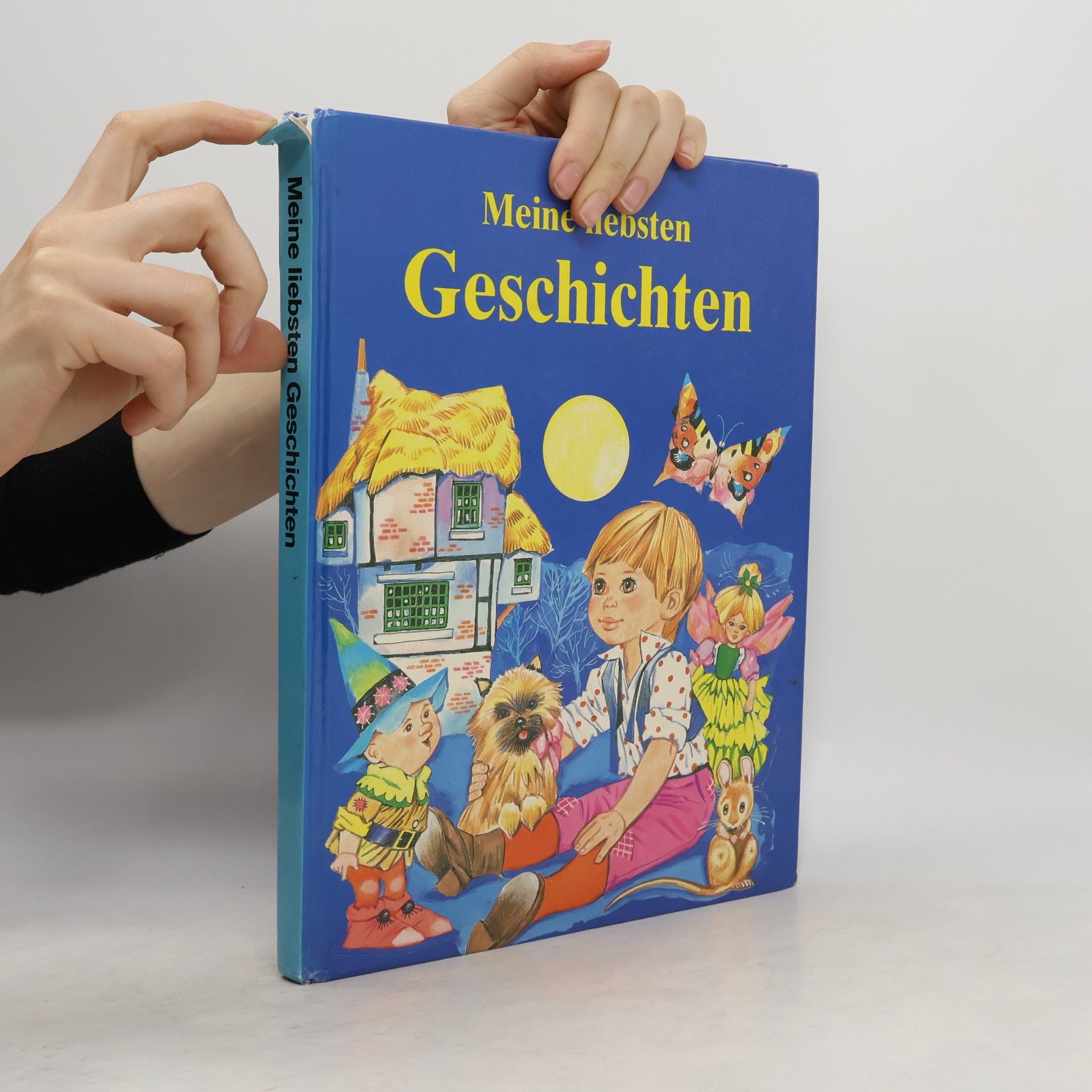 Gerda Bereit Meine liebsten Geschichten