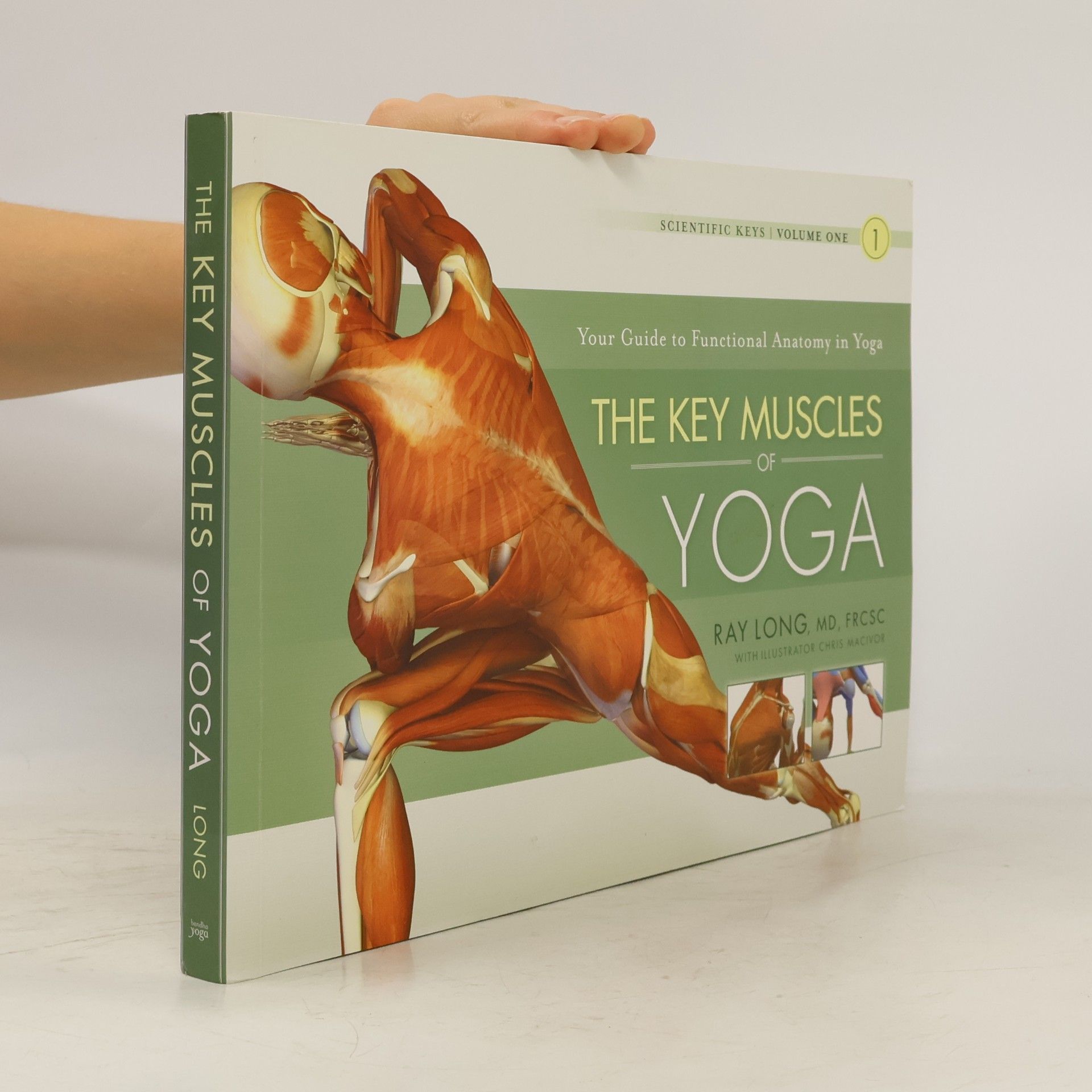 Ray Long The Key Muscles of Yoga