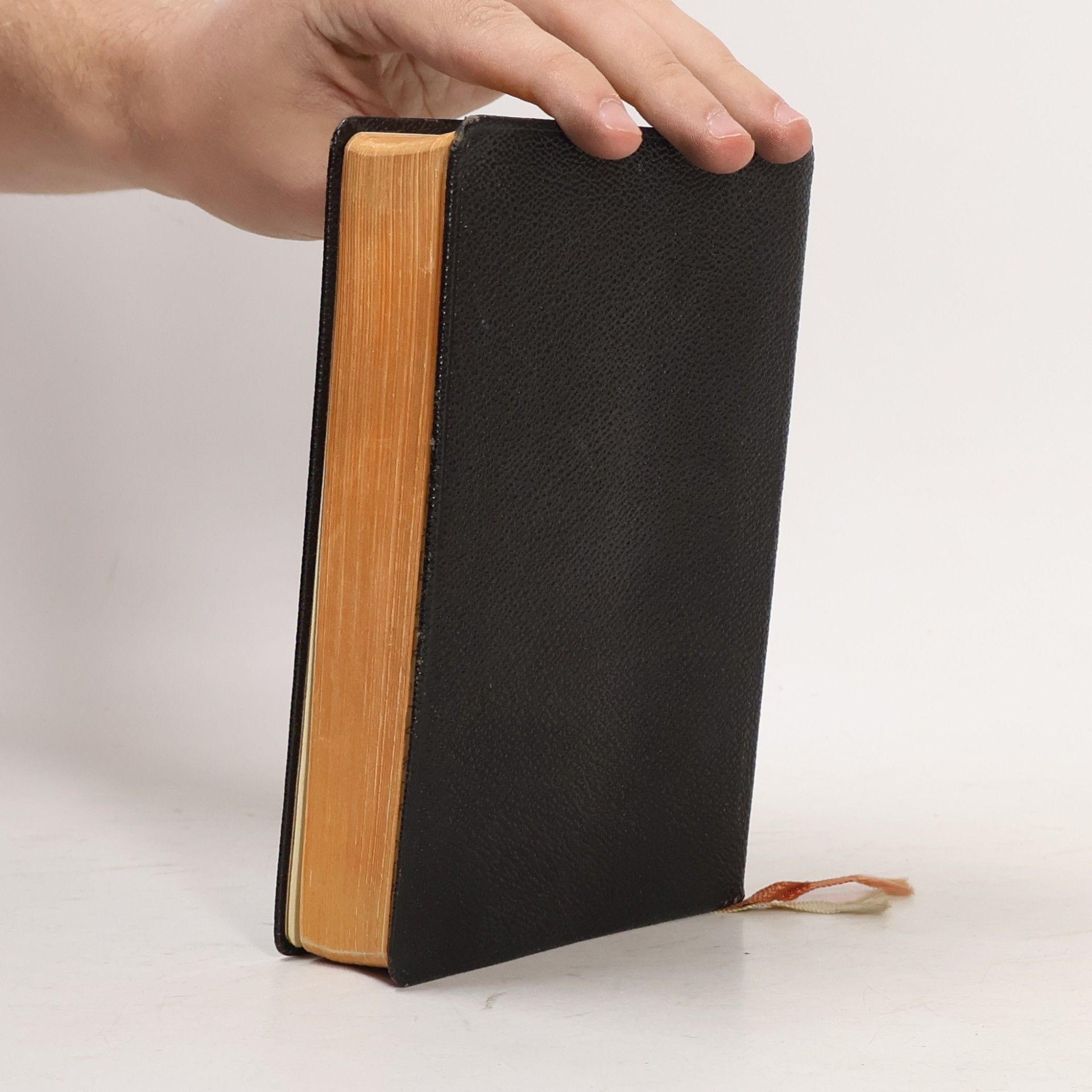 kolektiv Gelobt sei Jesus Christus. Gebet- und Gesangbuch für das Bistum Mainz