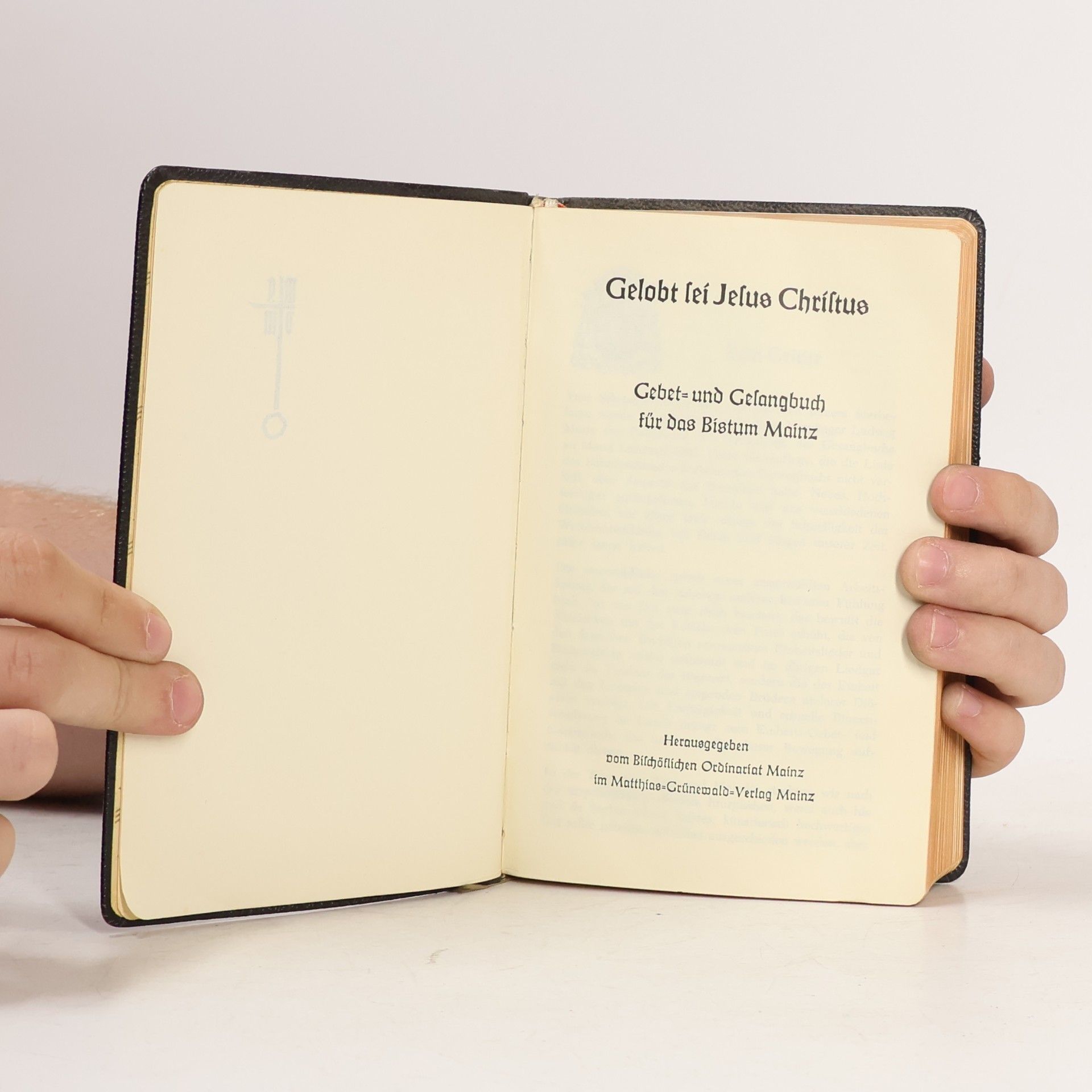kolektiv Gelobt sei Jesus Christus. Gebet- und Gesangbuch für das Bistum Mainz