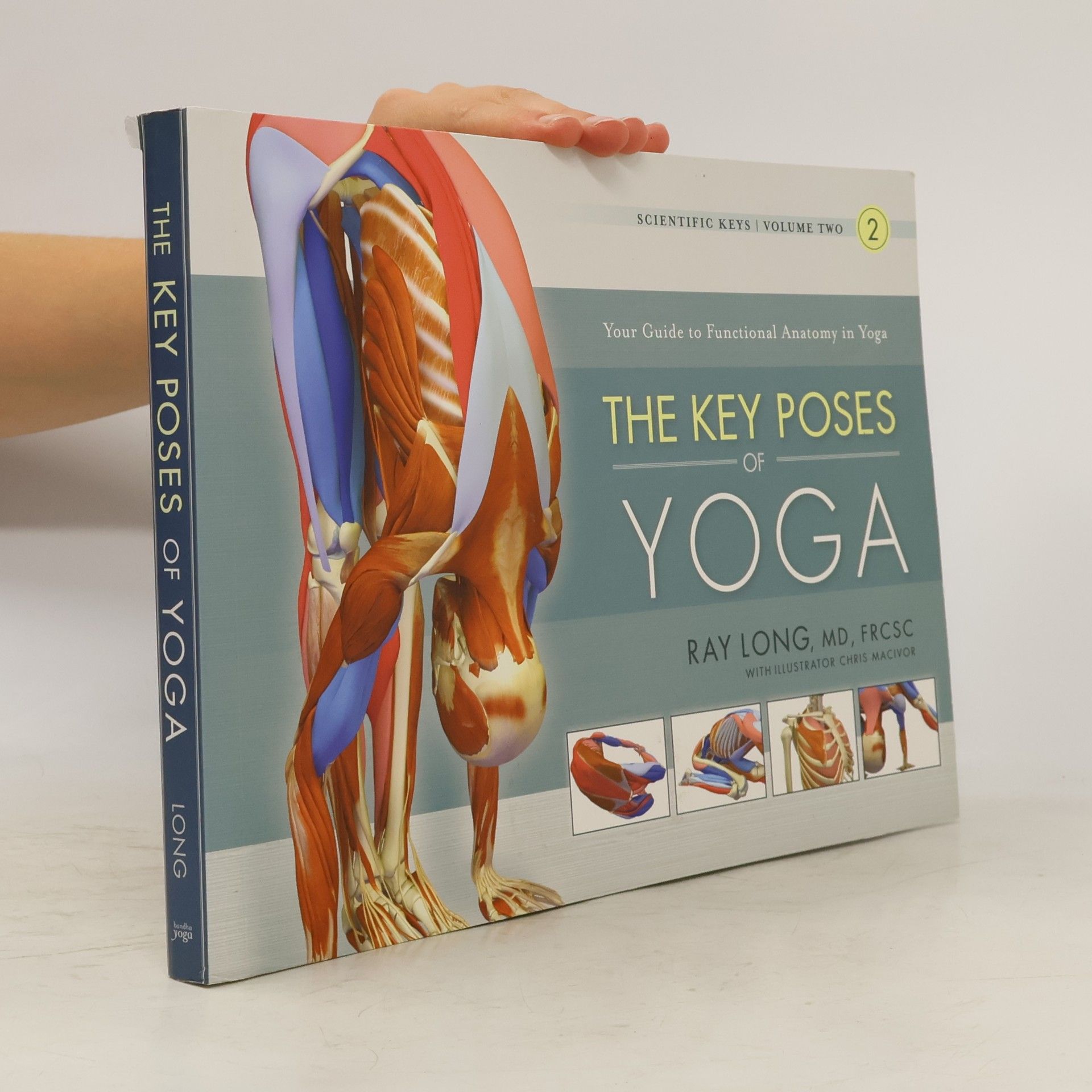 Ray Long Key Poses of Yoga: the Scientific Keys Vol 2