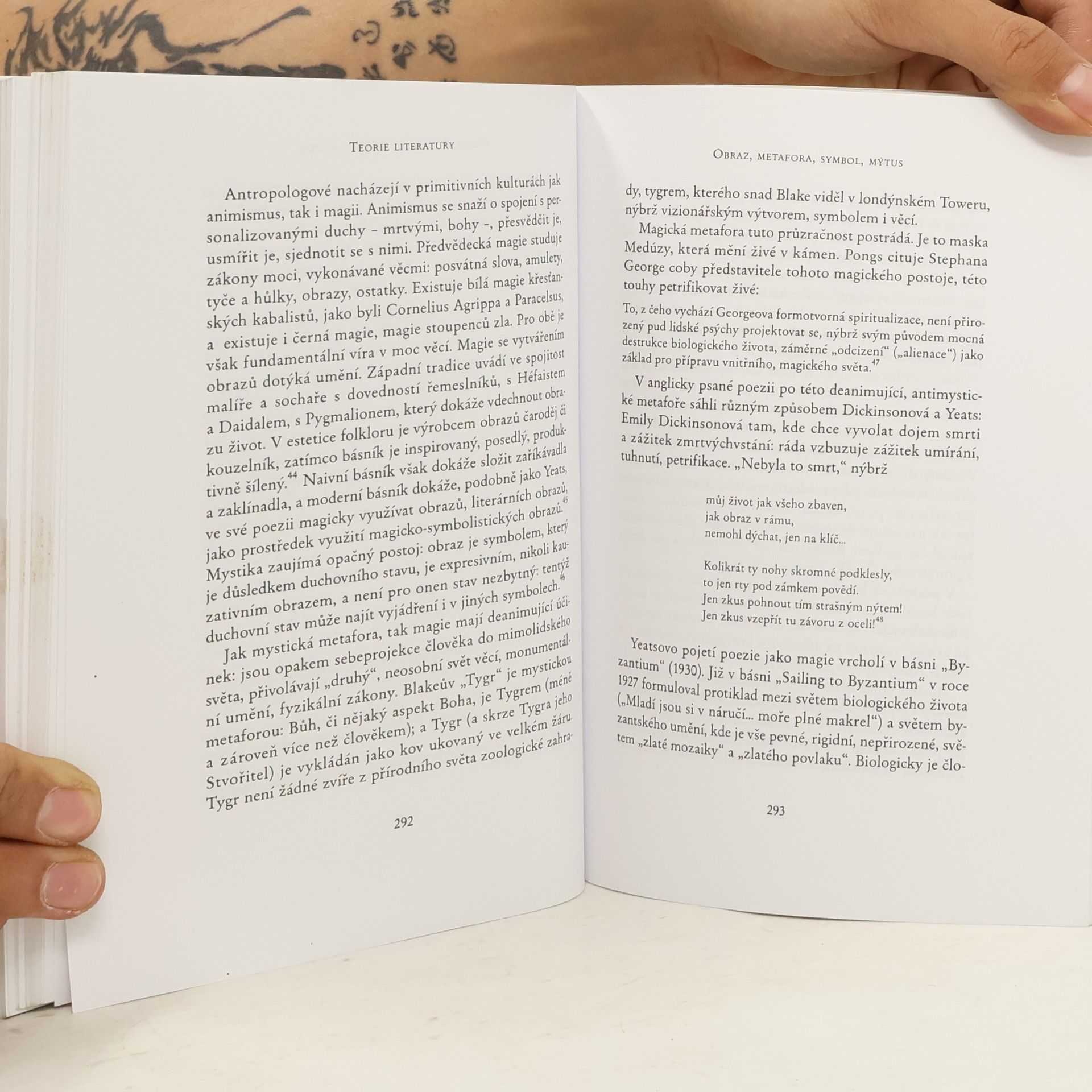 René Wellek Teorie literatury