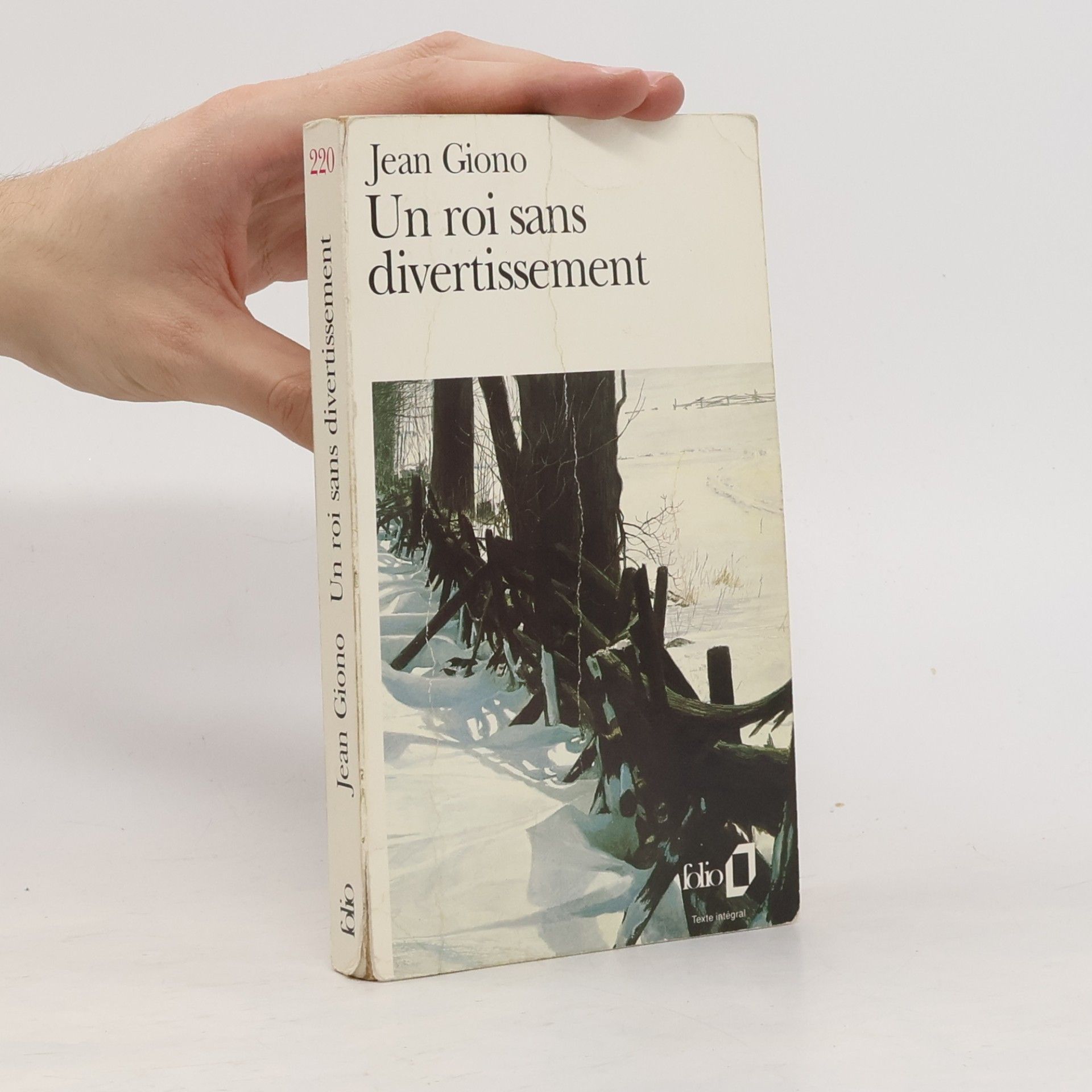 Jean Giono Un roi sans divertissement