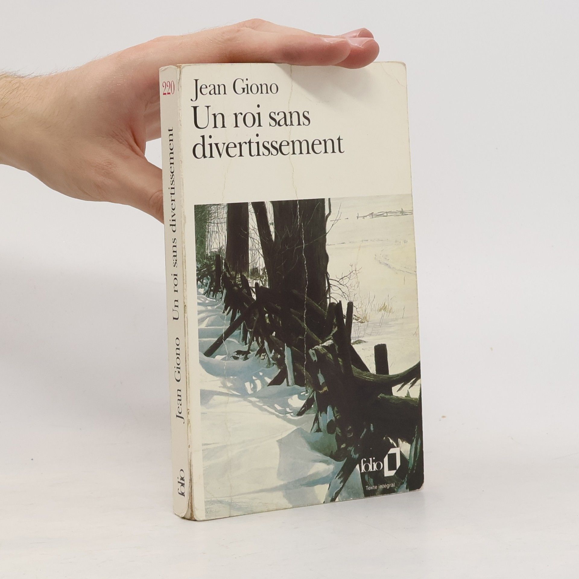 Jean Giono Un roi sans divertissement