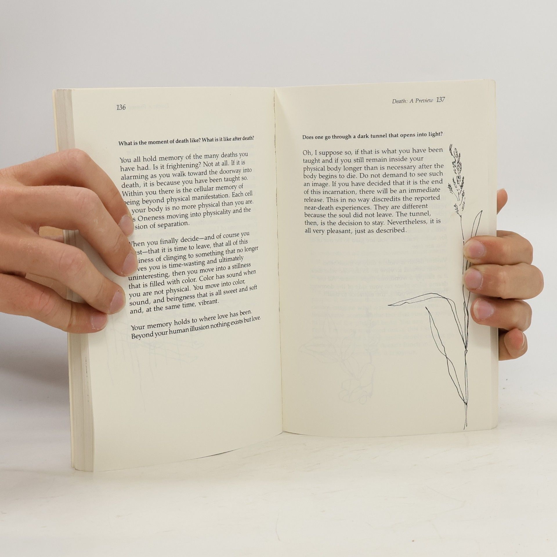 Pat Rodegast Emmanuel's Book II