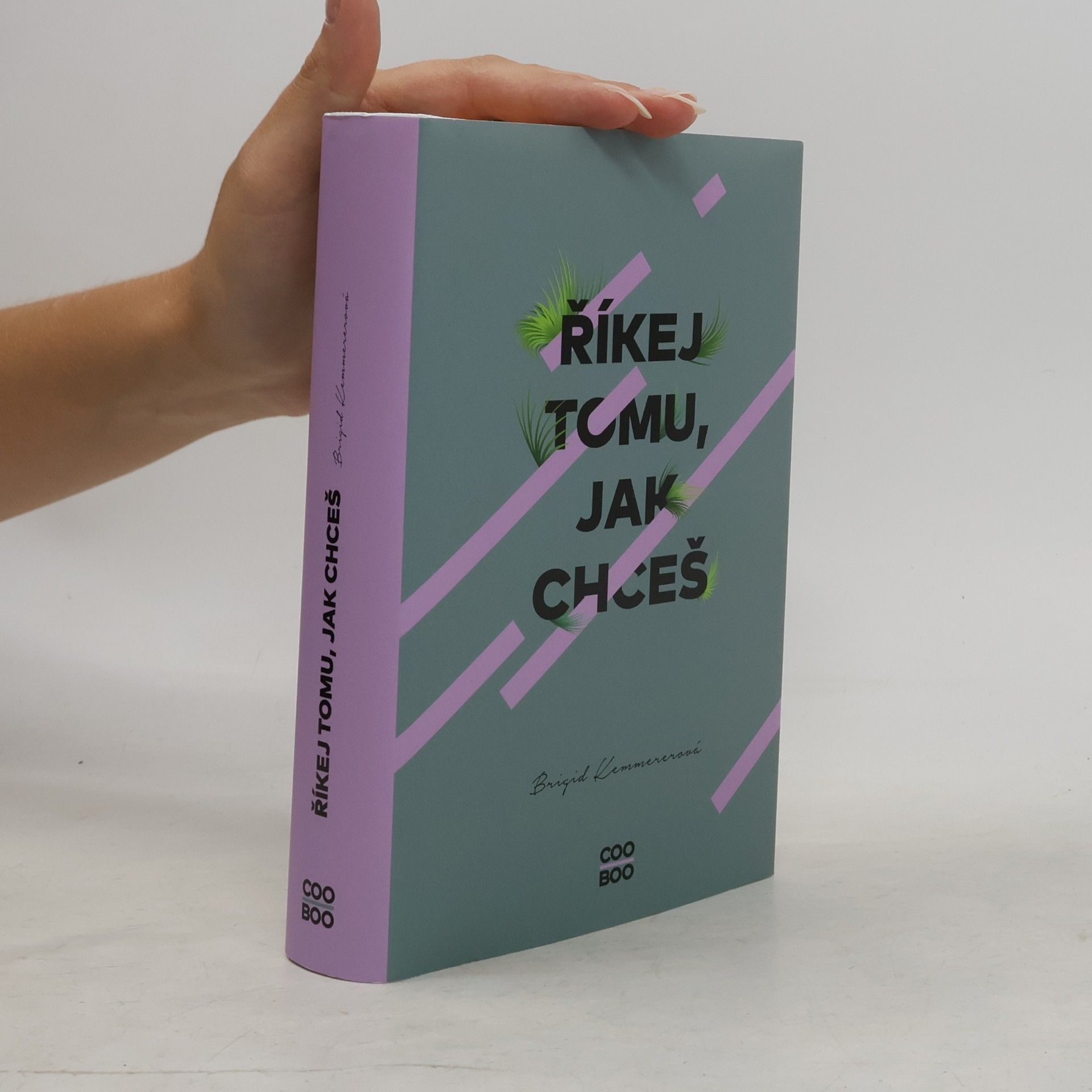 Brigid Kemmerer Říkej tomu, jak chceš