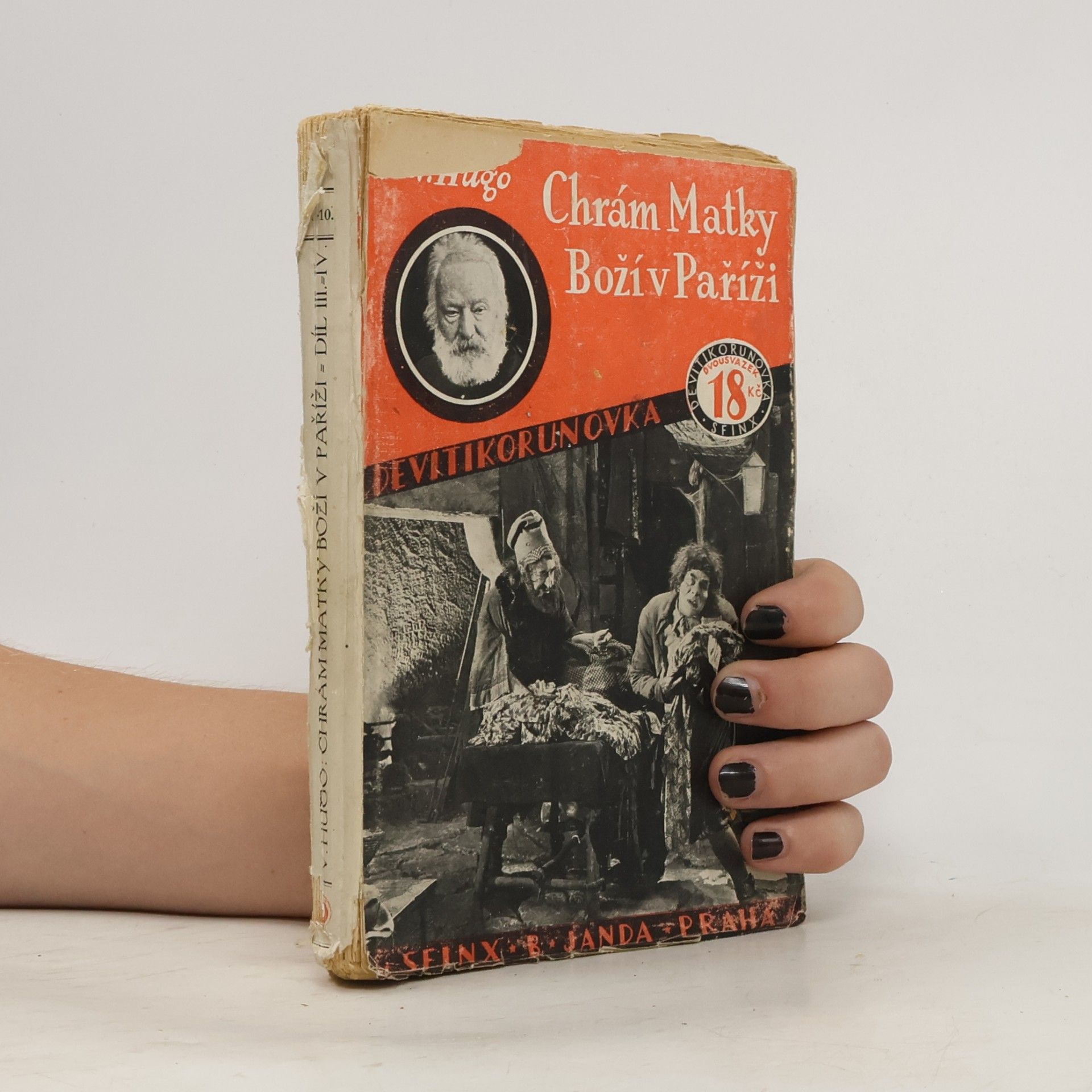 Victor Hugo Chrám Matky Boží v Paříži III.