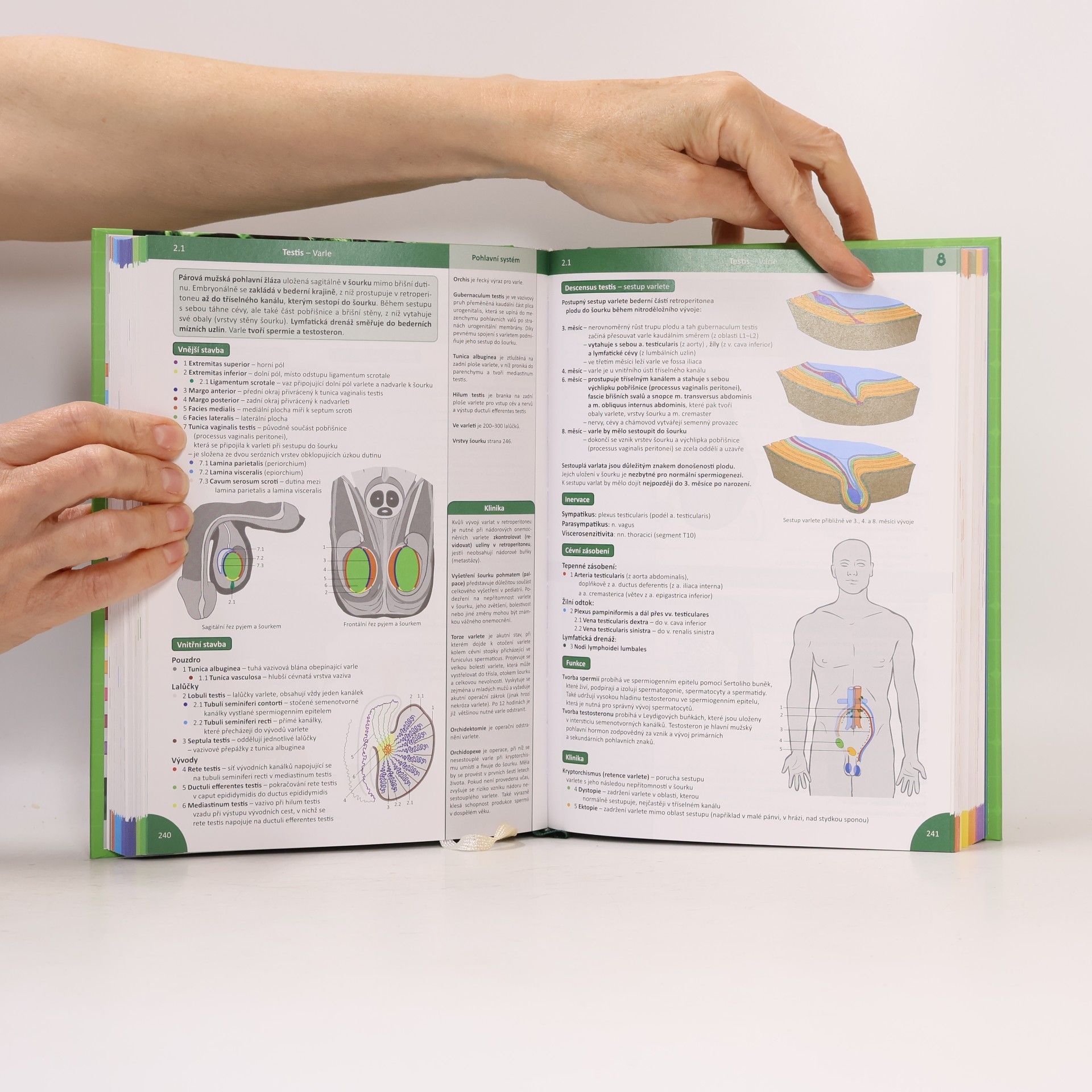 Radovan Hudák Memorix anatomie