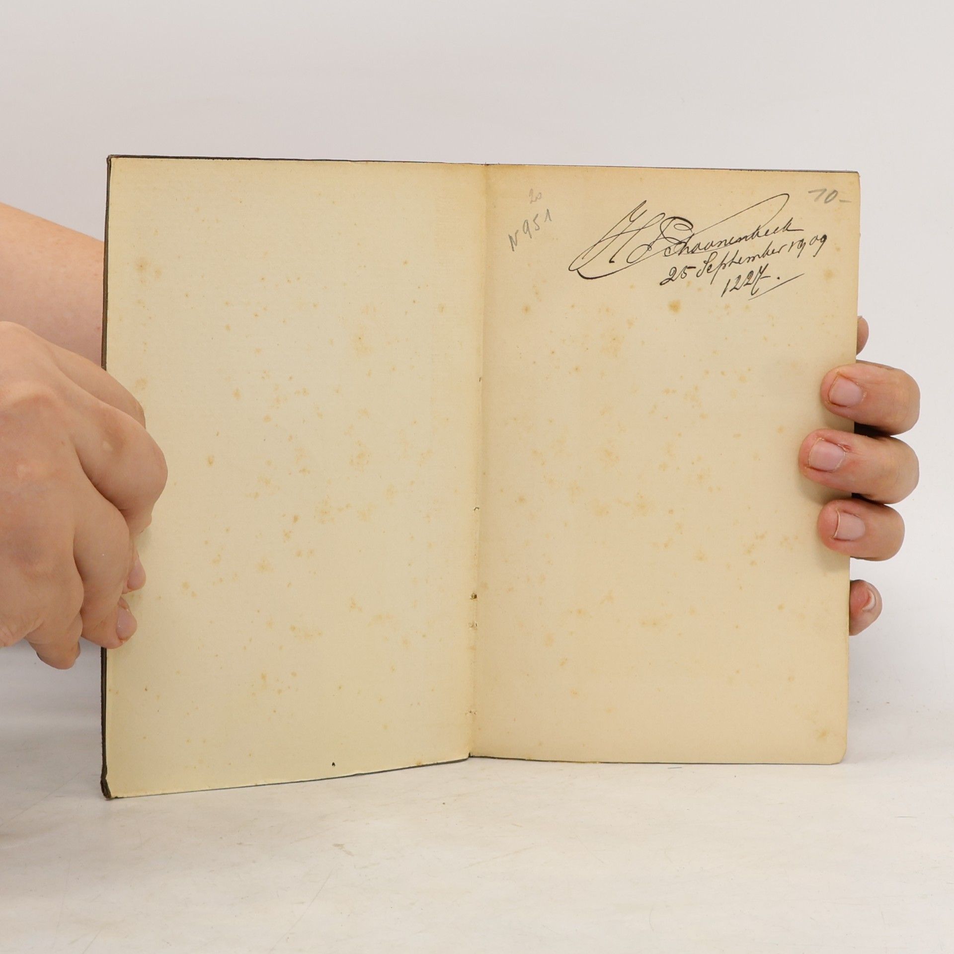 Johann Wolfgang von Goethe Vom tätigen Leben