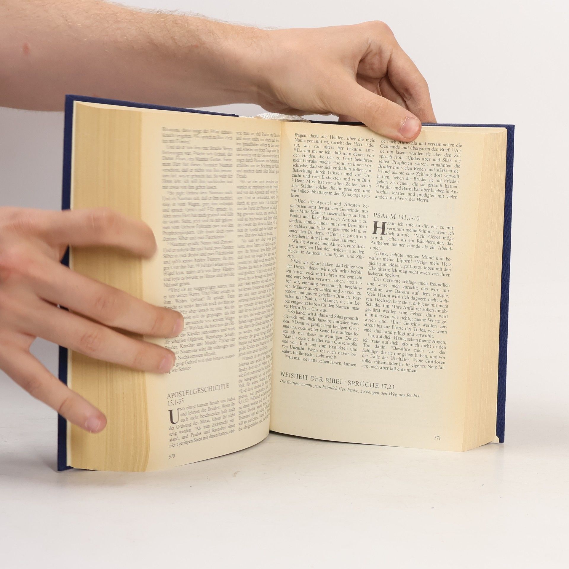 Kolektív autorov Die Jahresbibel. In 365 Tagen durch die Heilige Schrift. Nach der Übersetzung Martin Luthers