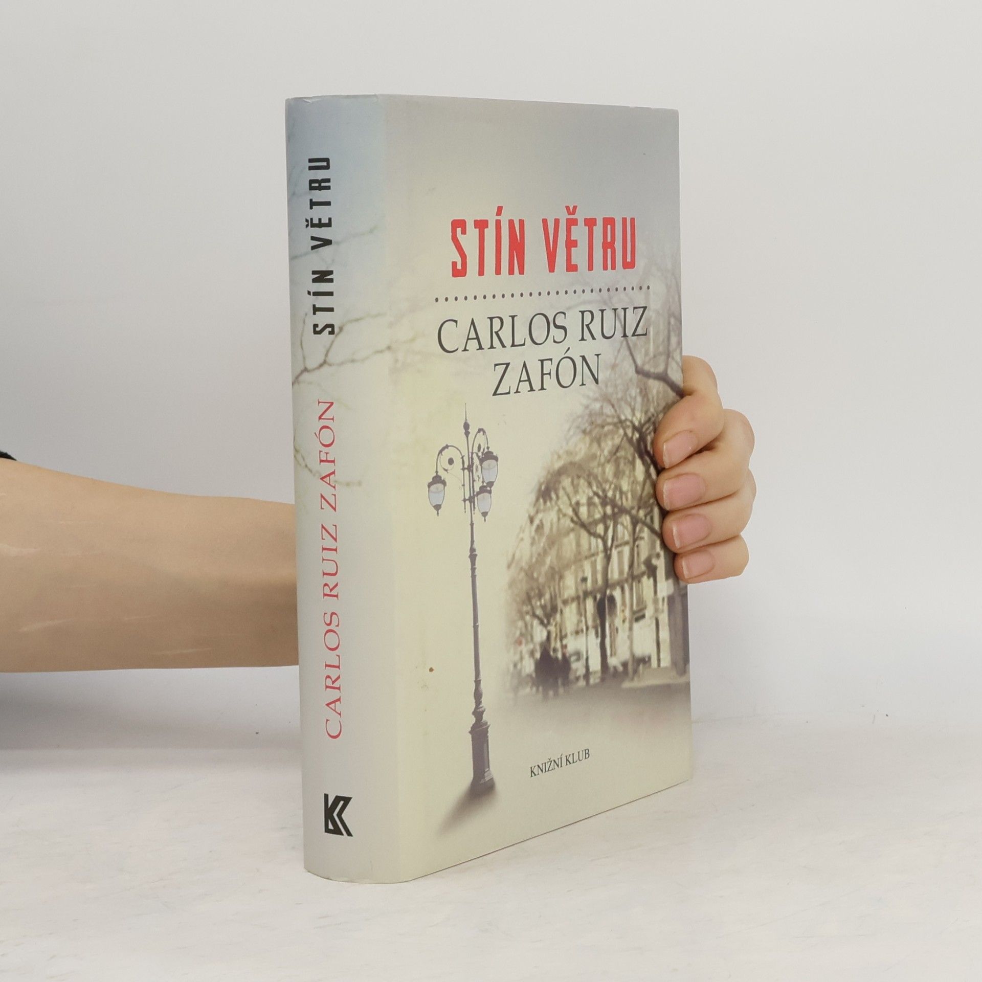 Carlos Ruiz Safon Stín větru