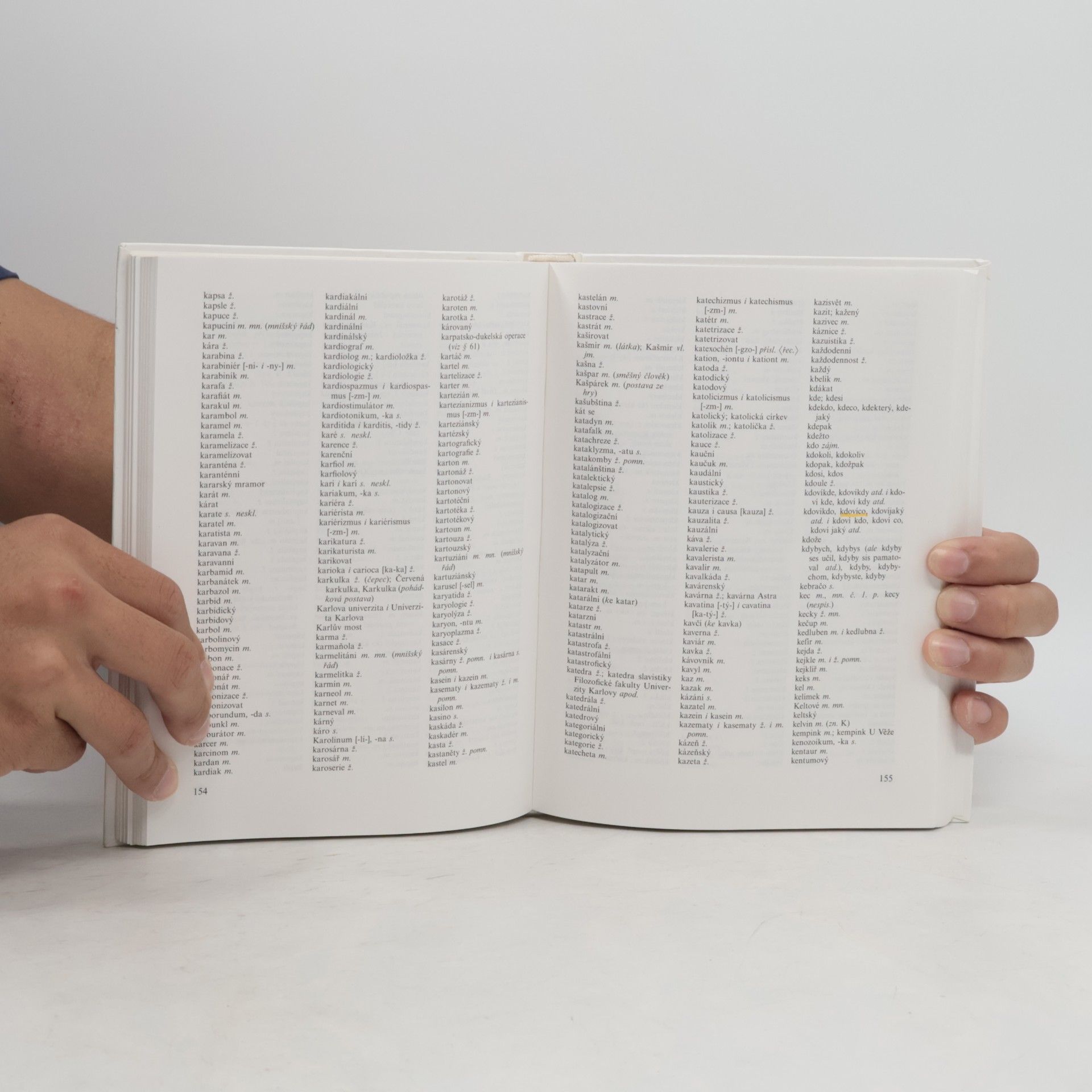 Autorenkollektiv Akademická pravidla českého pravopisu