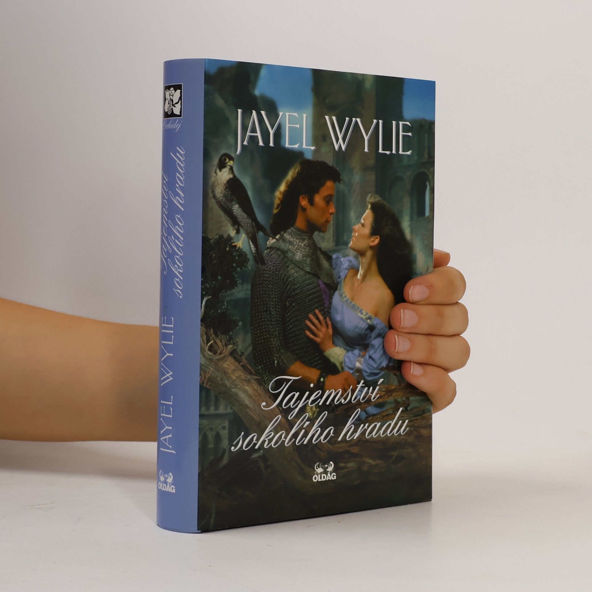 Jayel Wylie Tajemství sokolího hradu