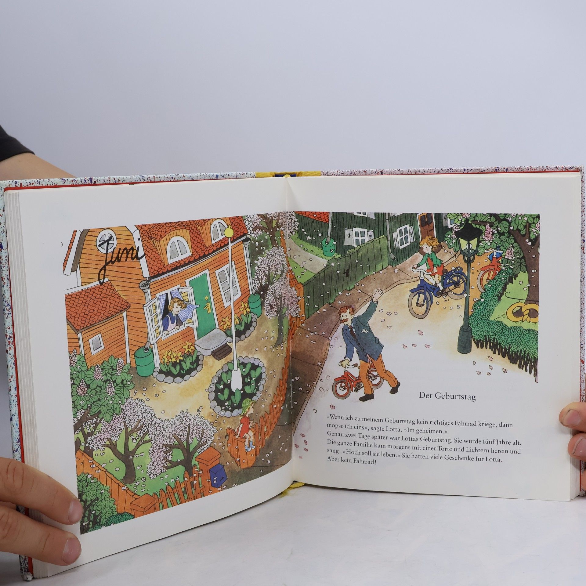 Ilon Wikland Lottas Merkbuch