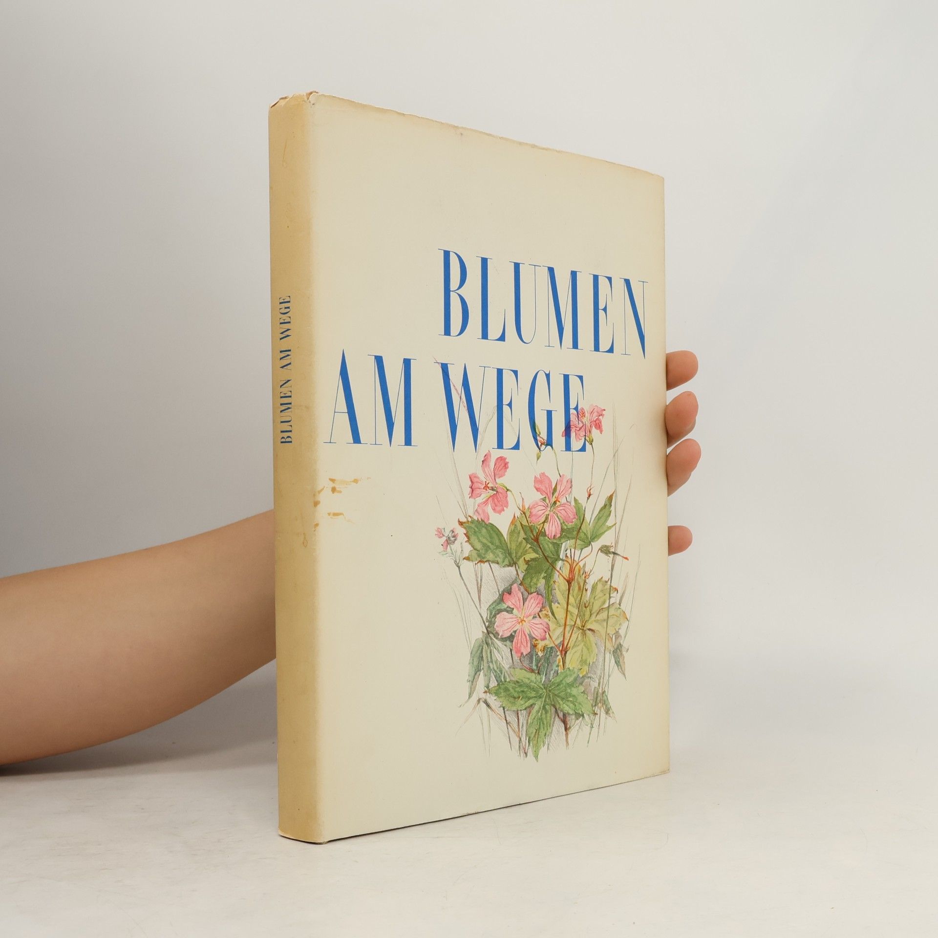 AA.VV. Blumen am Wege
