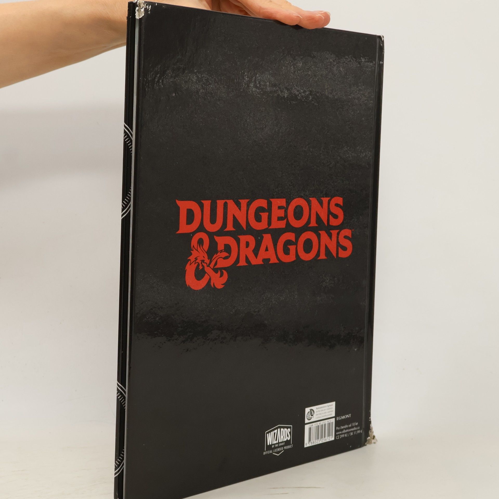 Susie Rae Dungeons & Dragons : hráčská ročenka