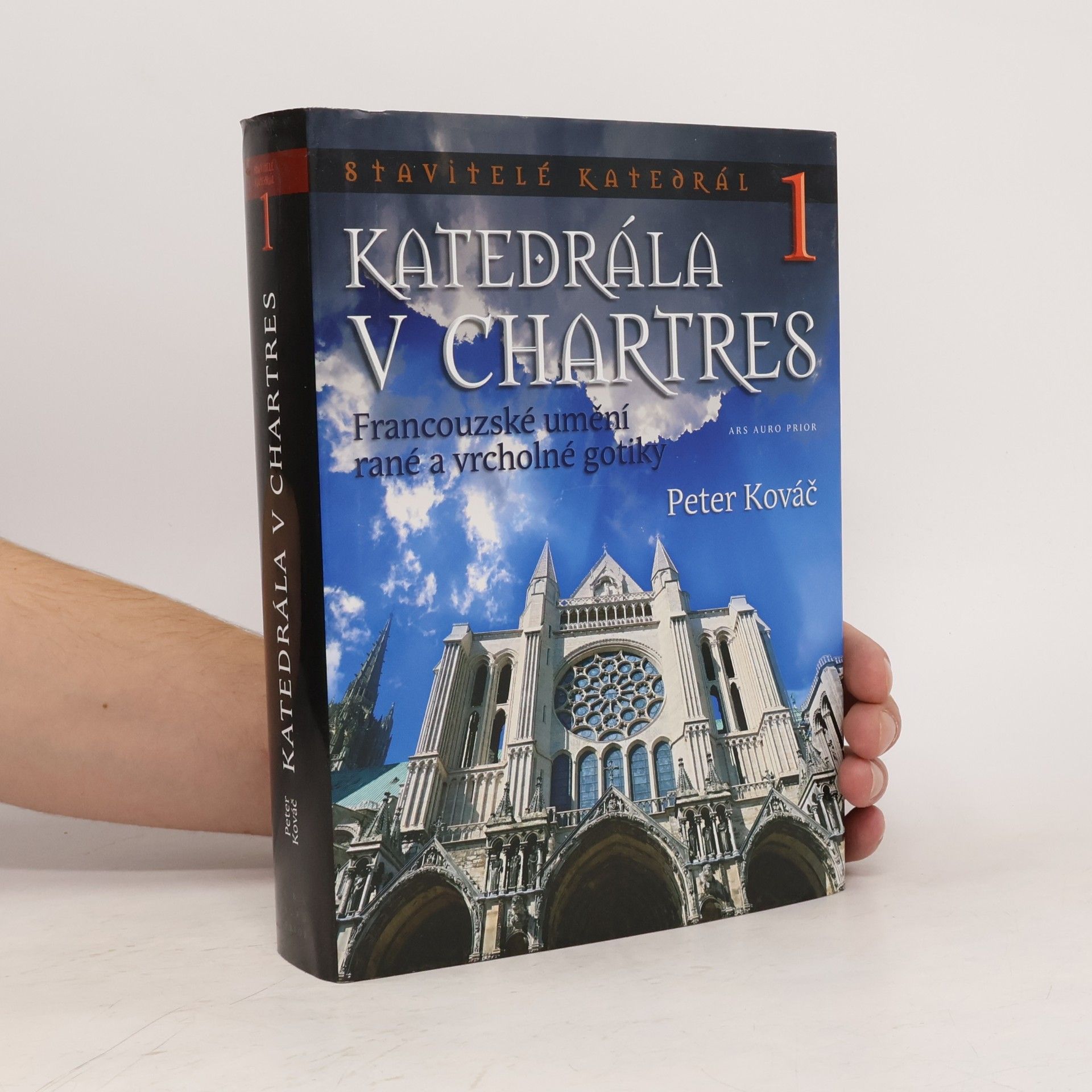 Peter Kováč Katedrála v Chartres