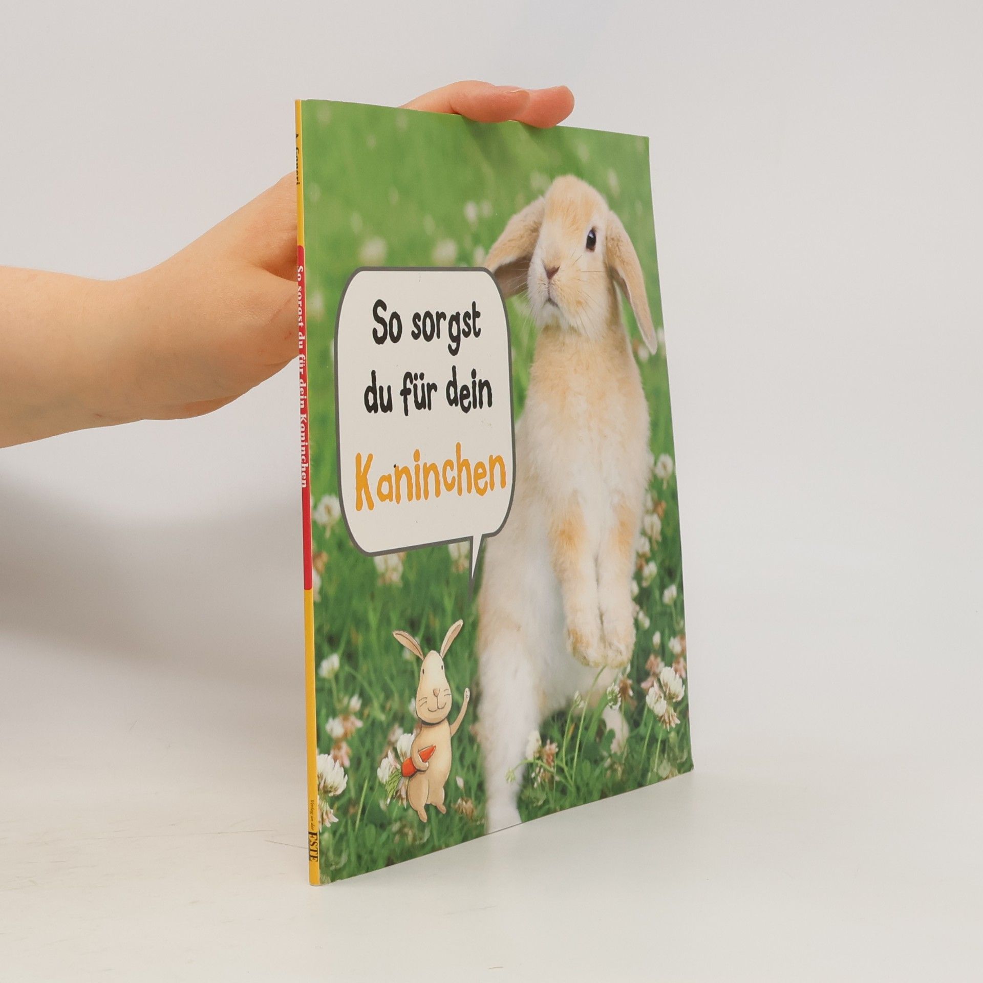 Anita Ganeri So sorgst du für dein Kaninchen