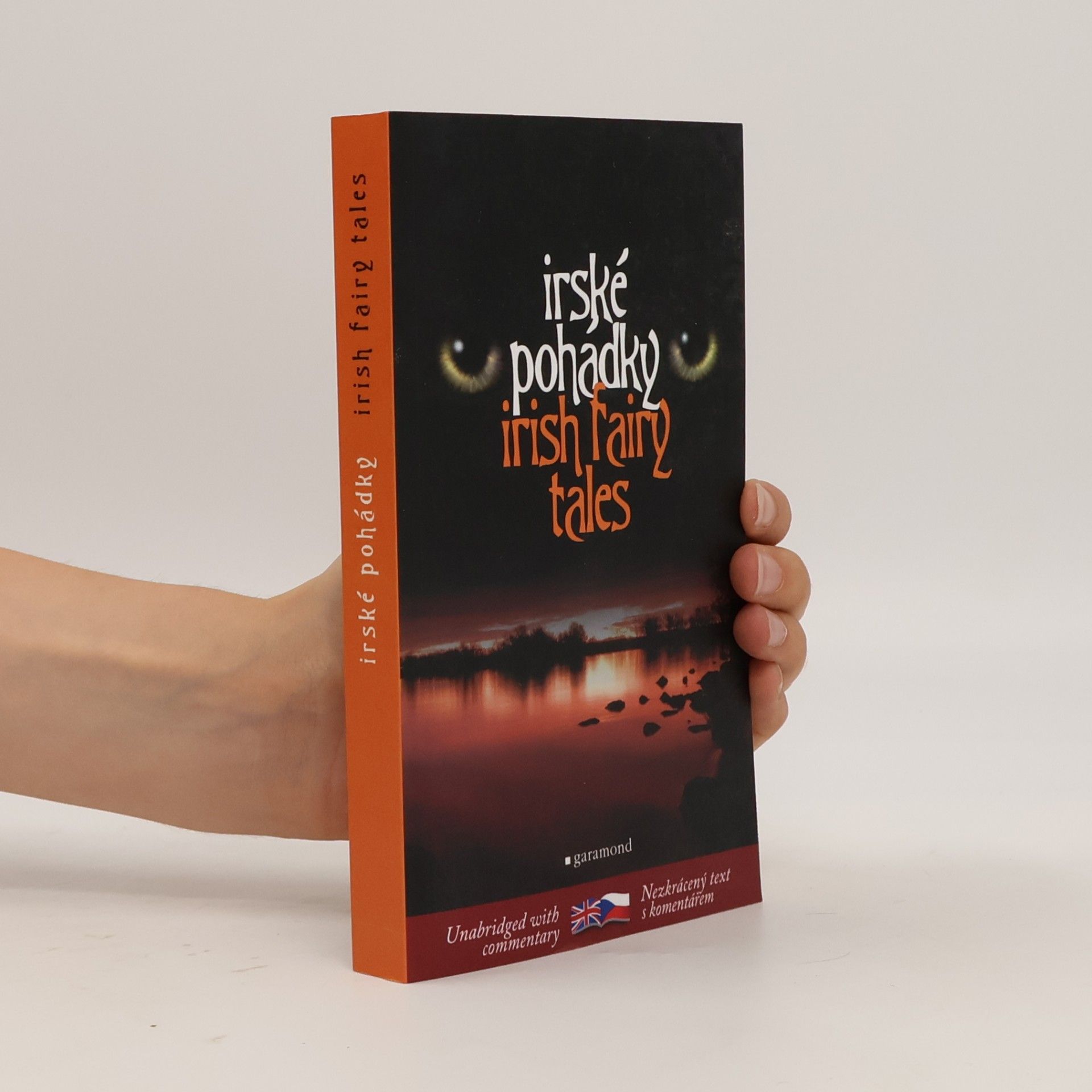 Lukáš Houdek Irish fairy tales = Irské pohádky