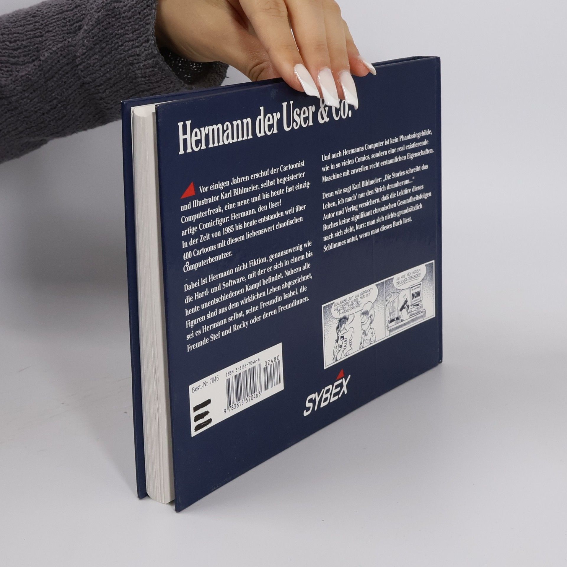 Karl Bihlmeier Hermann der User & co.