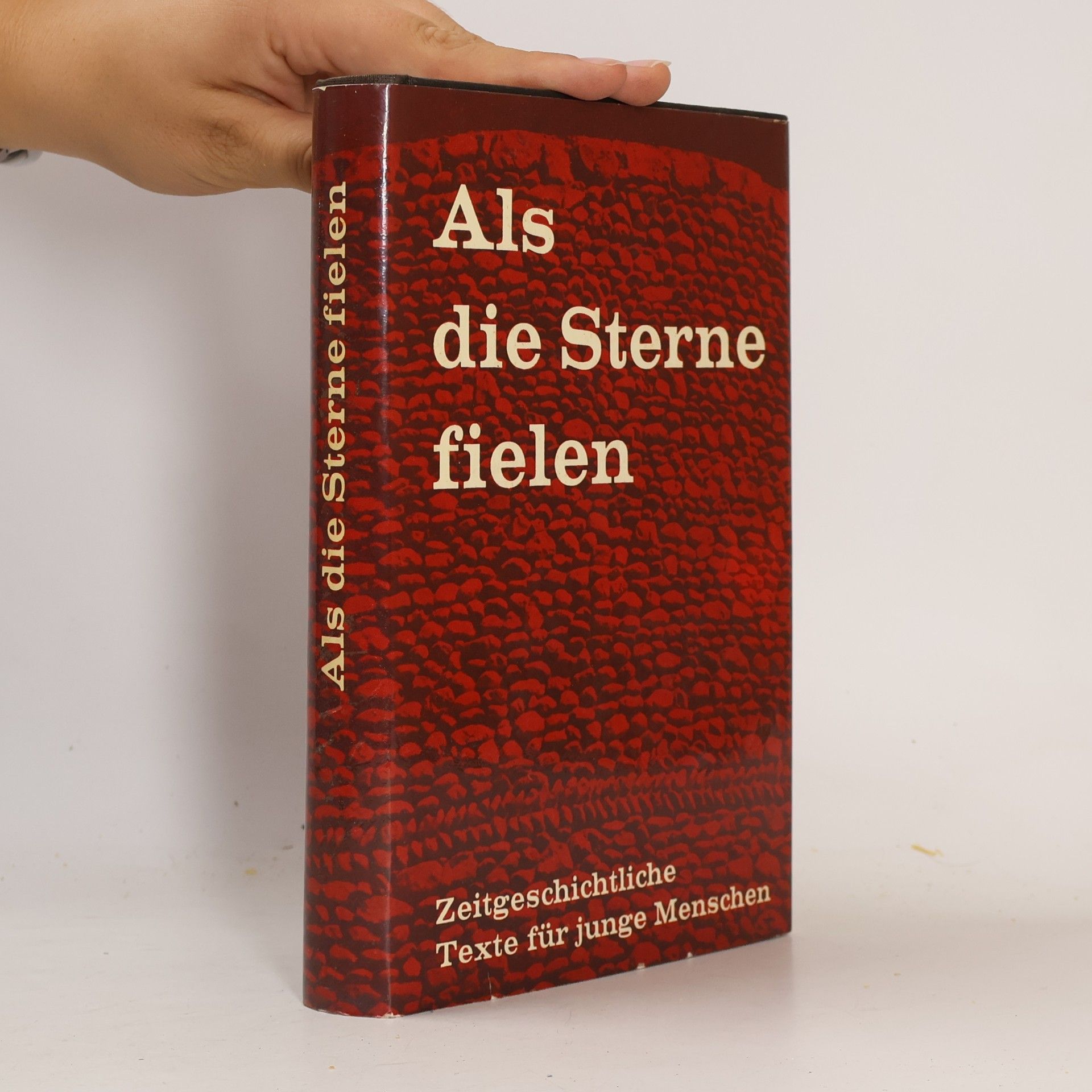 Autorenkollektiv Als die Sterne fielen