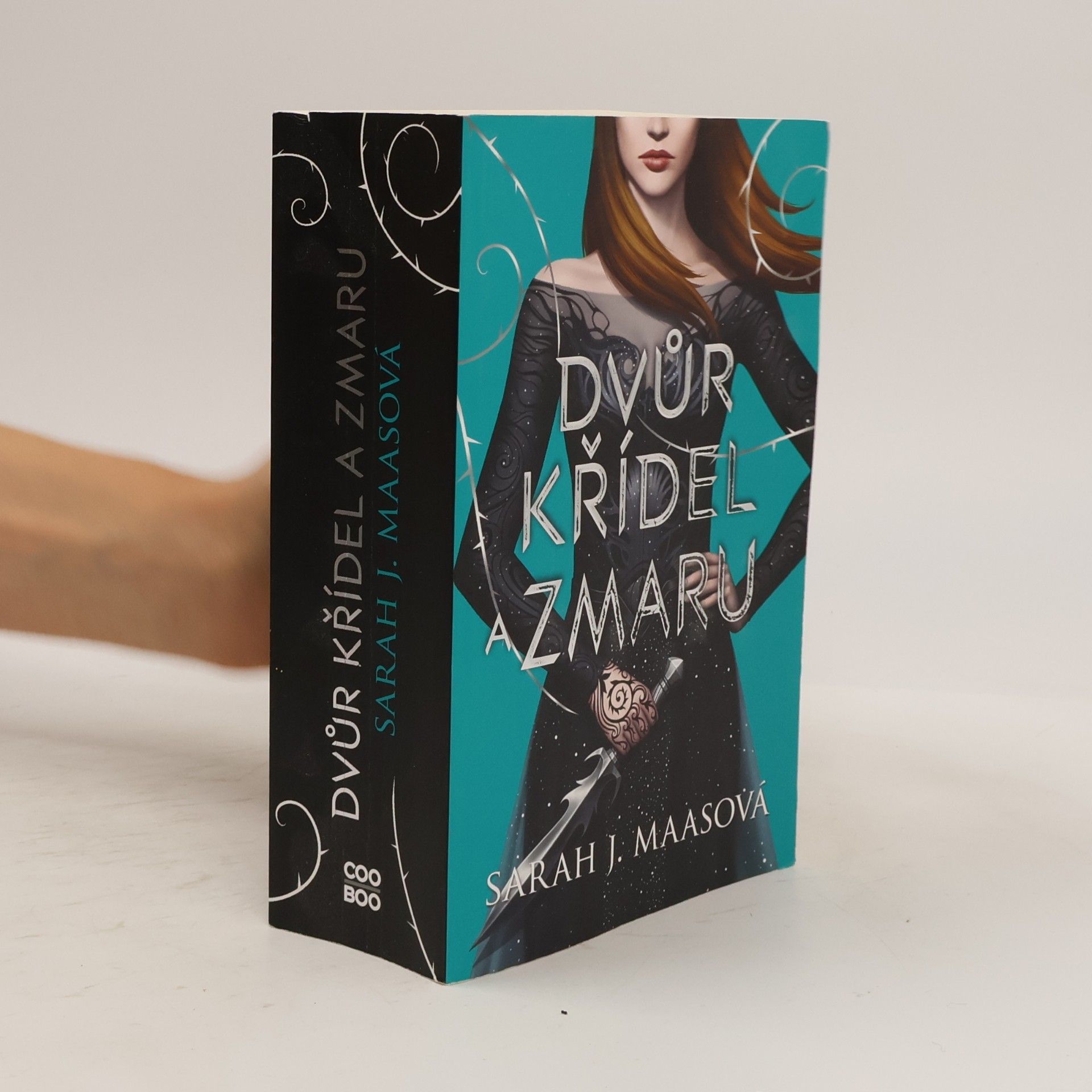 Sarah J. Maas Dvůr křídel a zmaru
