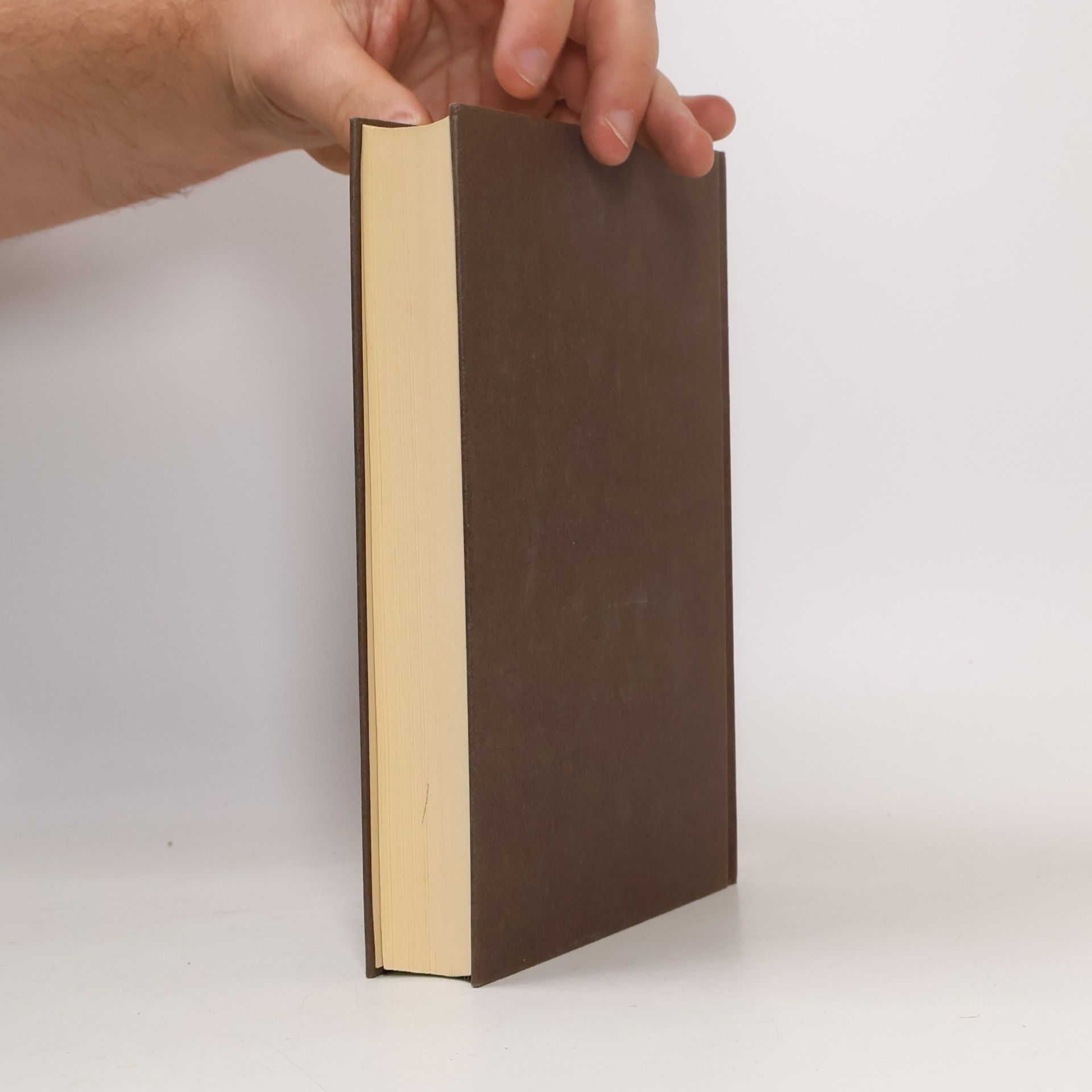 Bruno Bettelheim Kinder brauchen Bücher : Lesen lernen durch Faszination