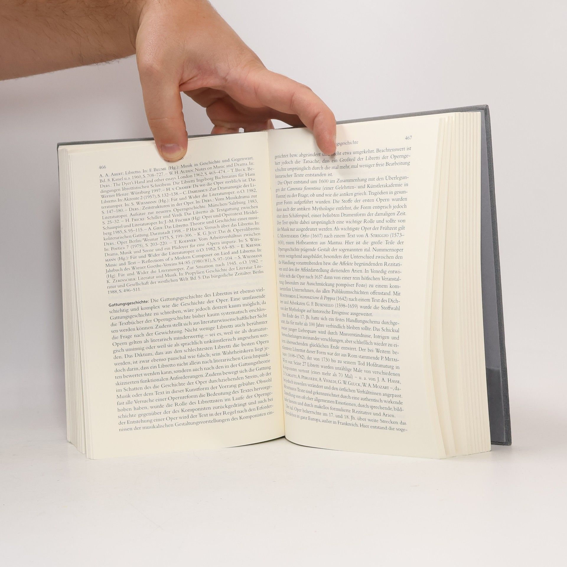 Dieter Lamping Handbuch der literarischen Gattungen