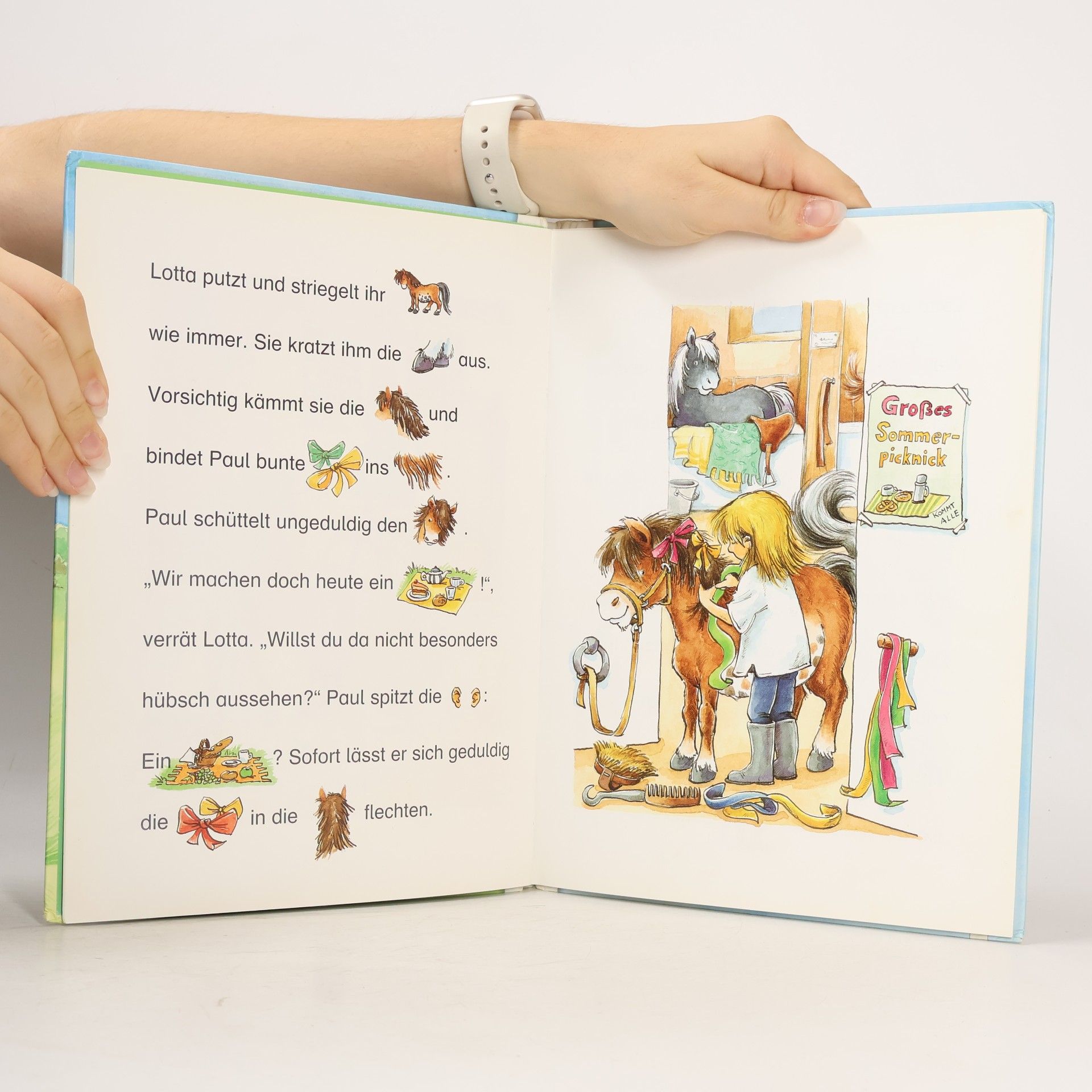 Julia Boehme Mein erstes LeseBilderBuch: Mit Lotta auf dem Ponyhof