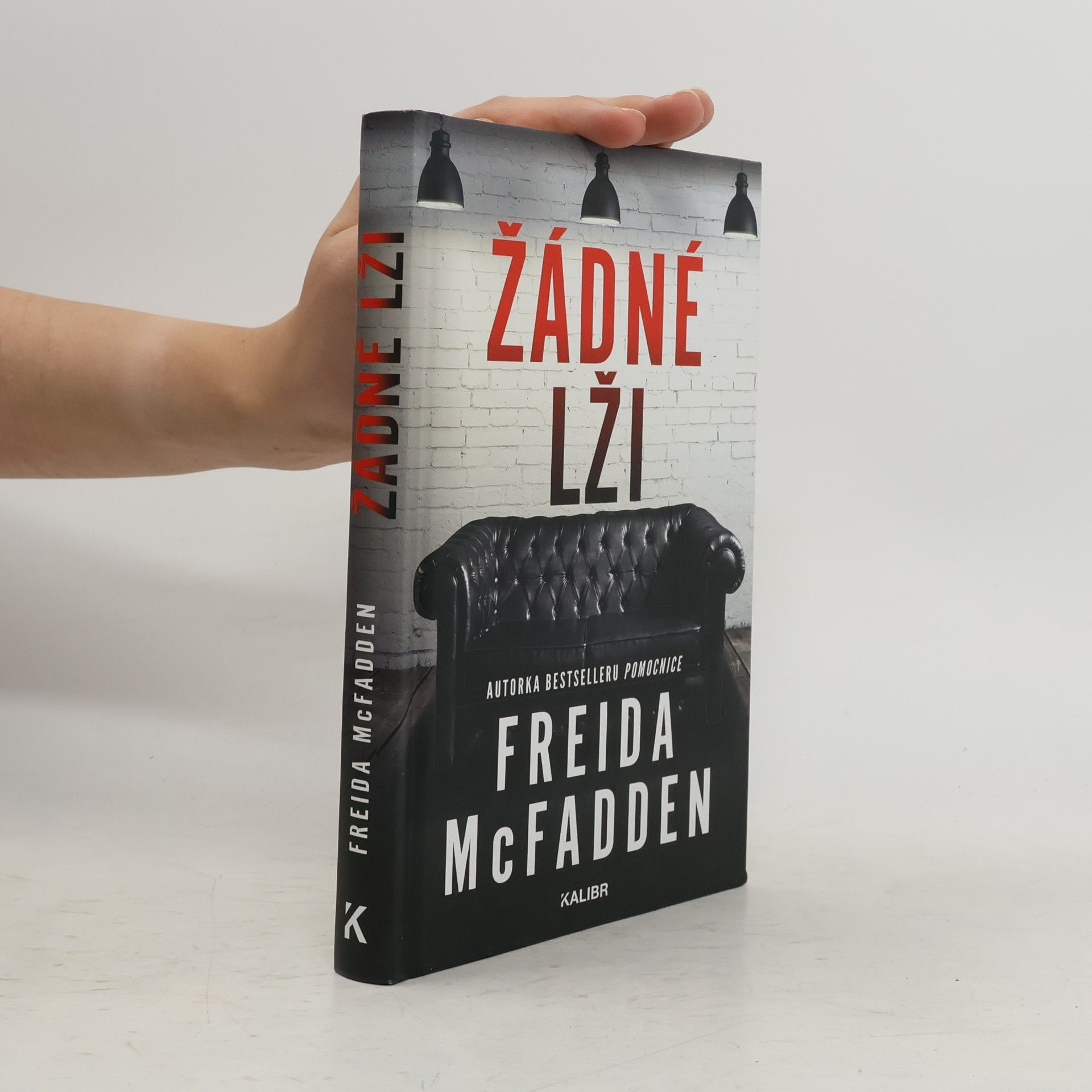 Freida McFadden Žádné lži
