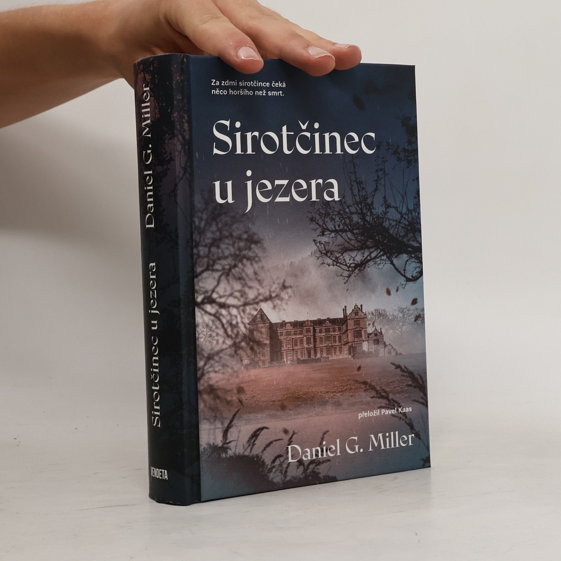 Daniel G. Miller Sirotčinec u jezera