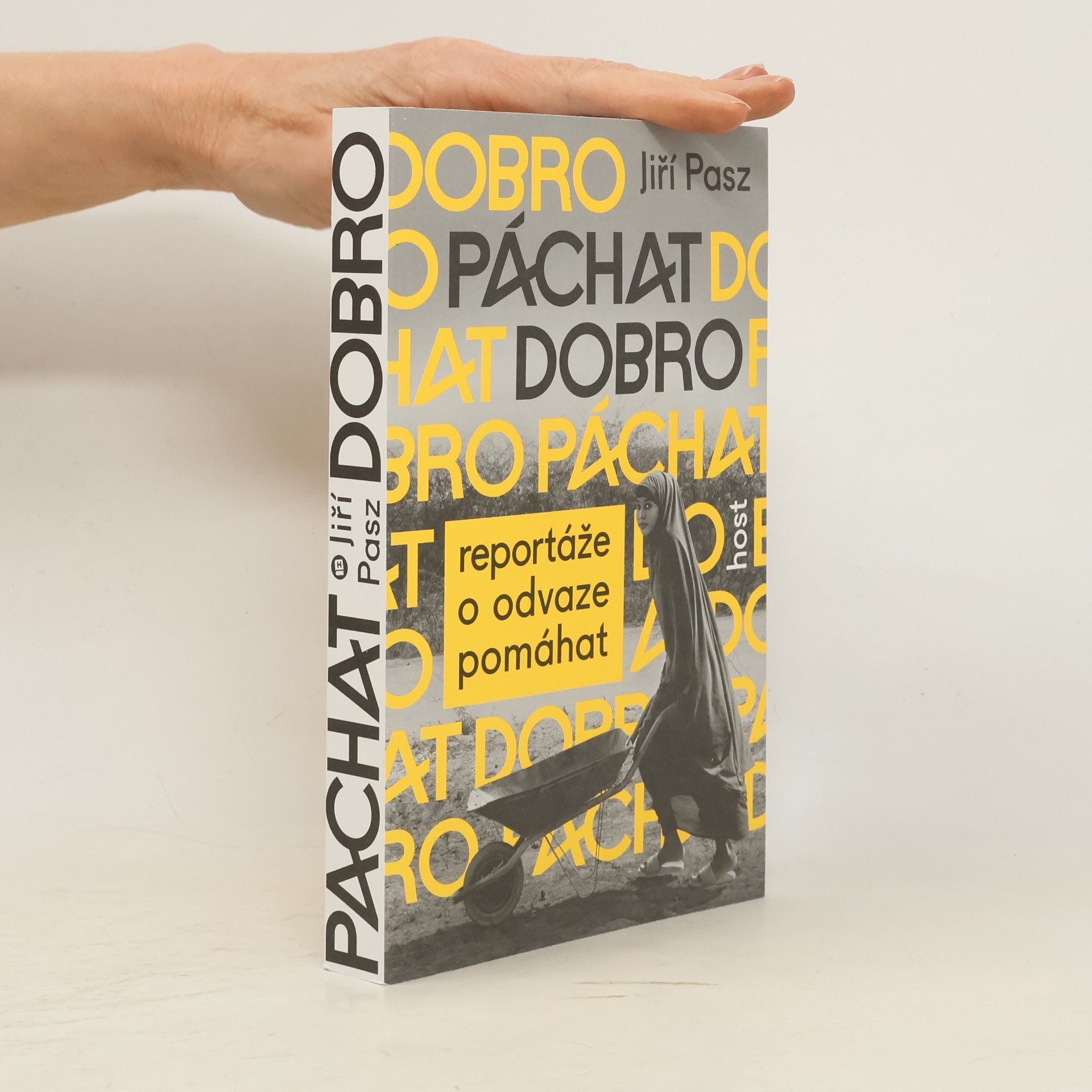 Adéla Plechatá Páchat dobro - Reportáže o odvaze pomáhat