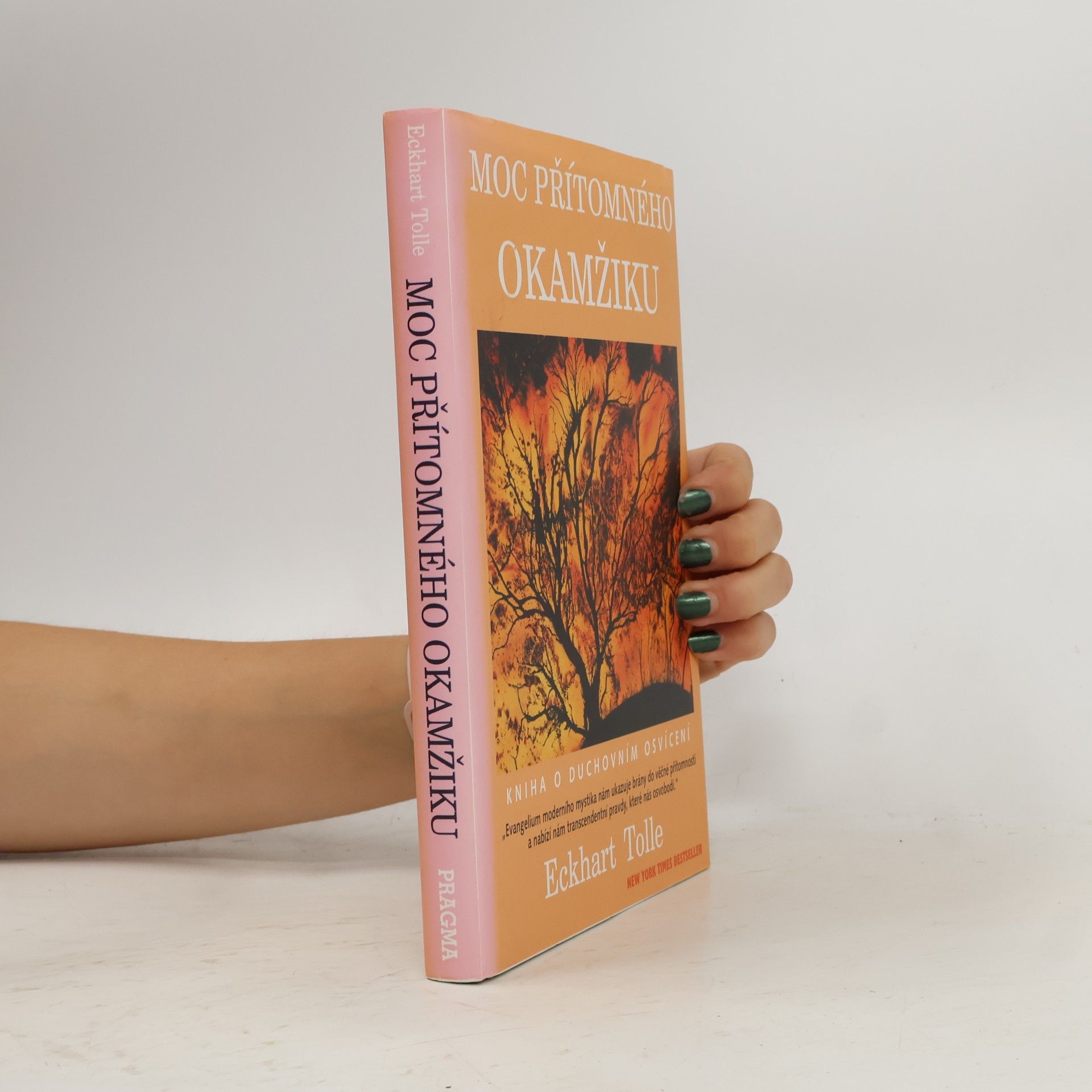 Eckhart Tolle Moc přítomného okamžiku