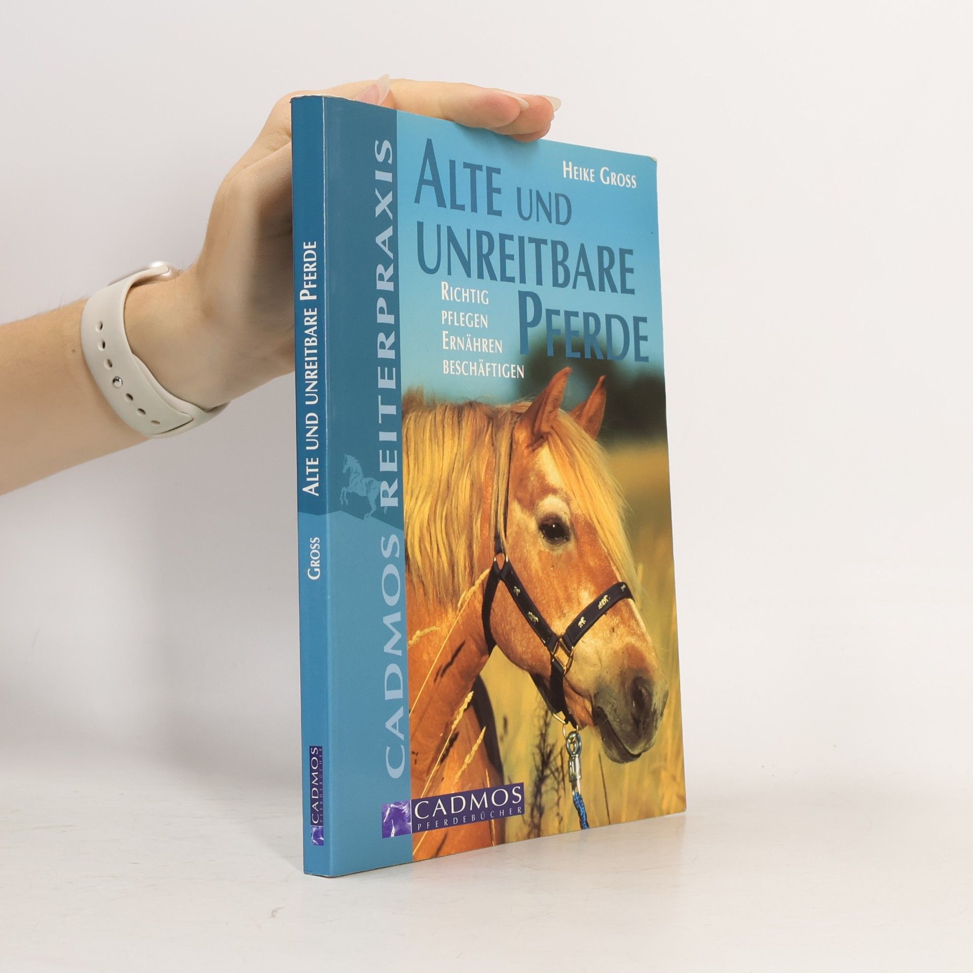 Heike Groß Alte und unreitbare Pferde