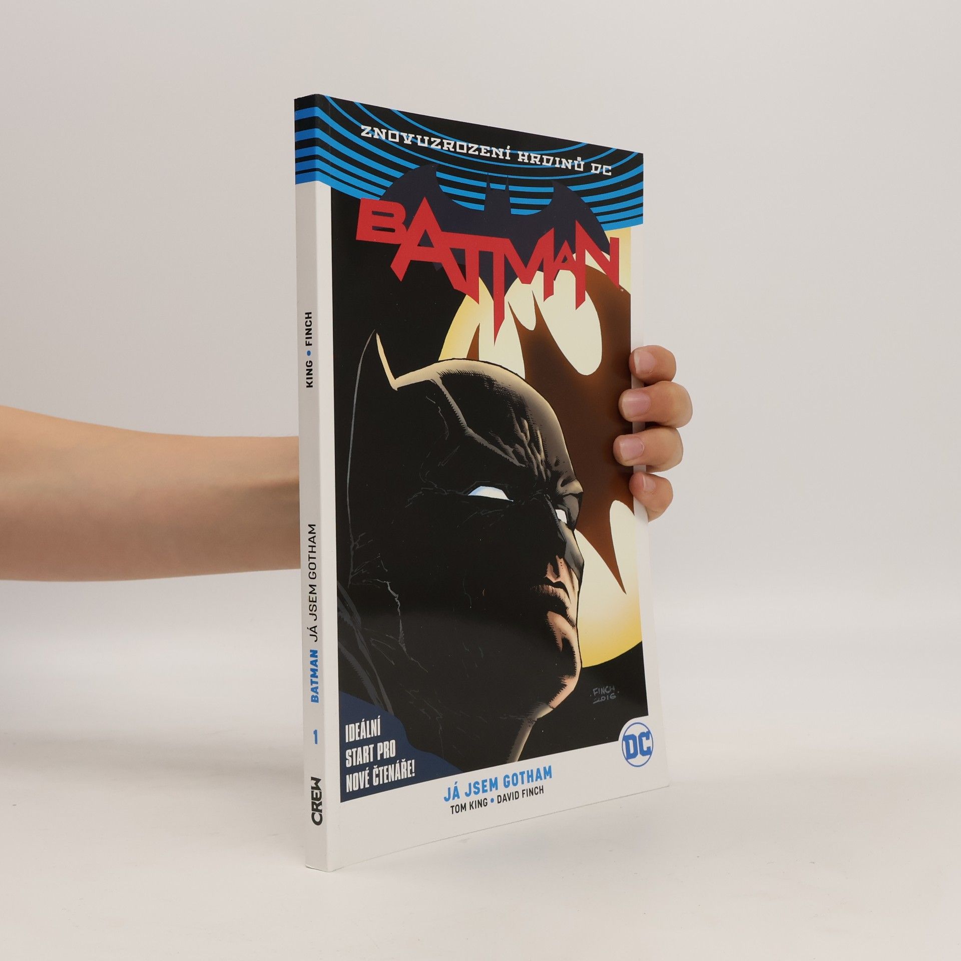Tom King Batman. 1. díl, Já jsem Gotham