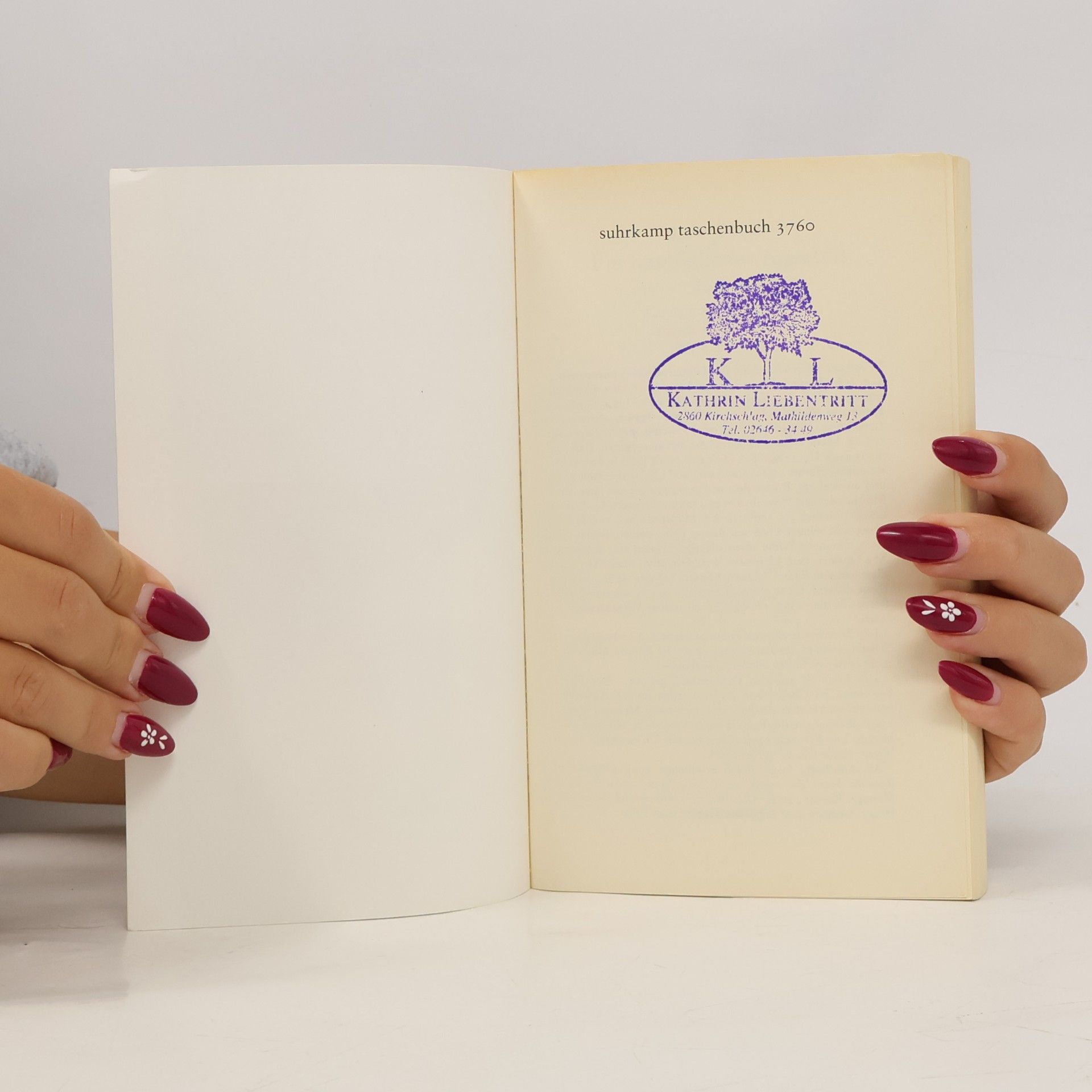 Lily Brett Ein unmögliches Angebot
