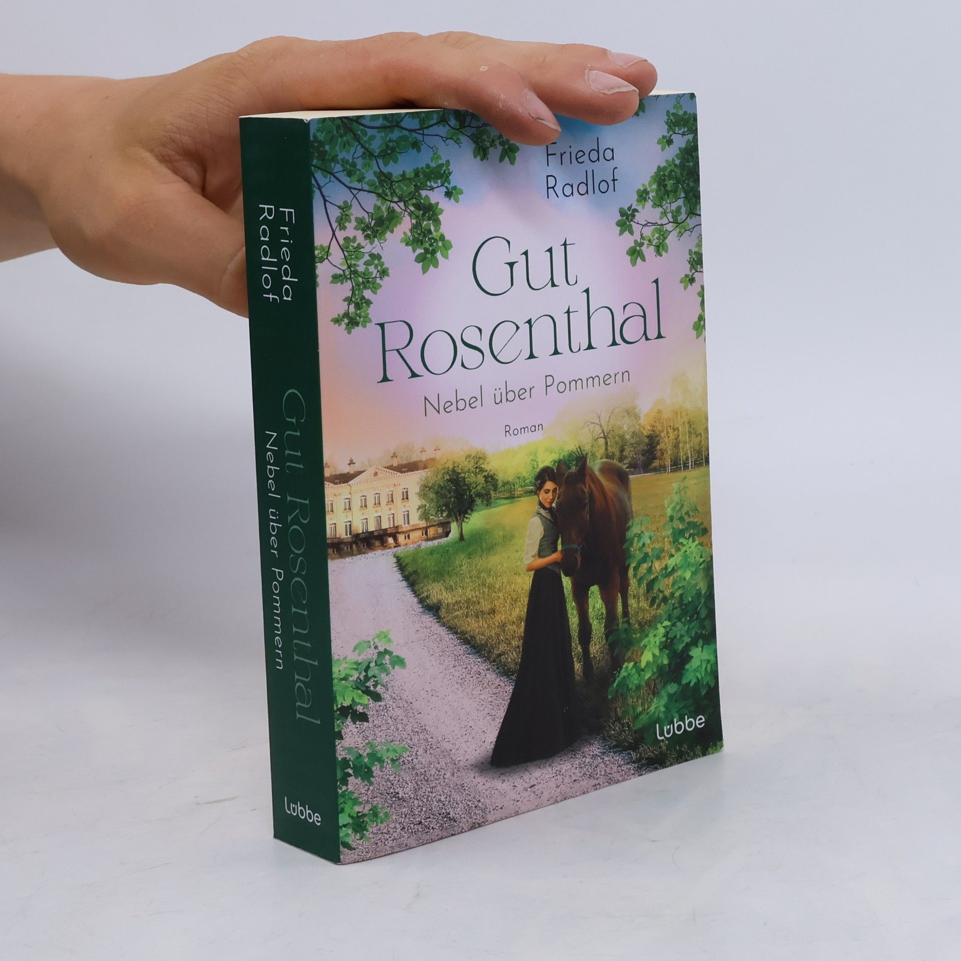 Frieda Radlof Gut Rosenthal - Nebel über Pommern